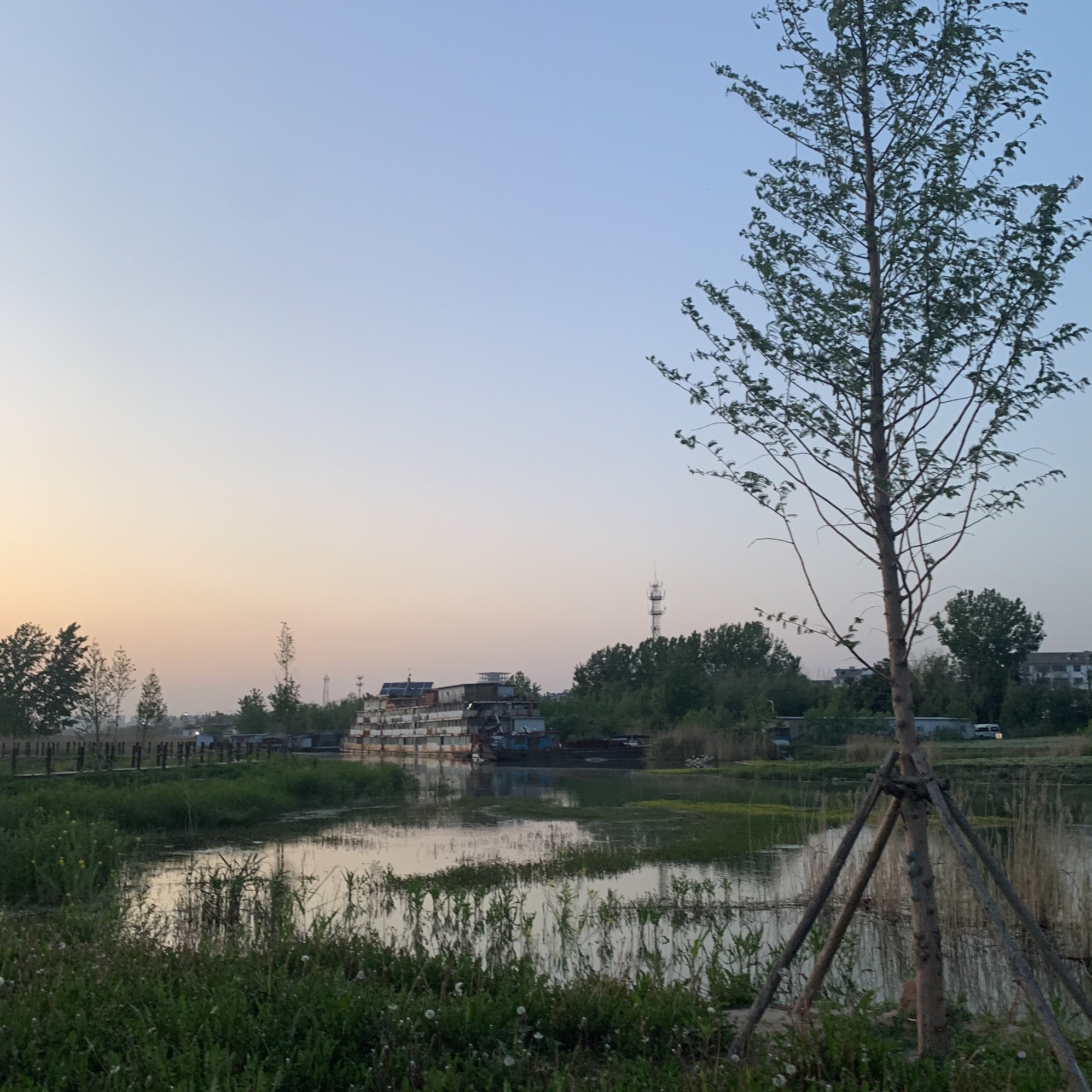 荷塘月色啤酒广场旅行图片 3