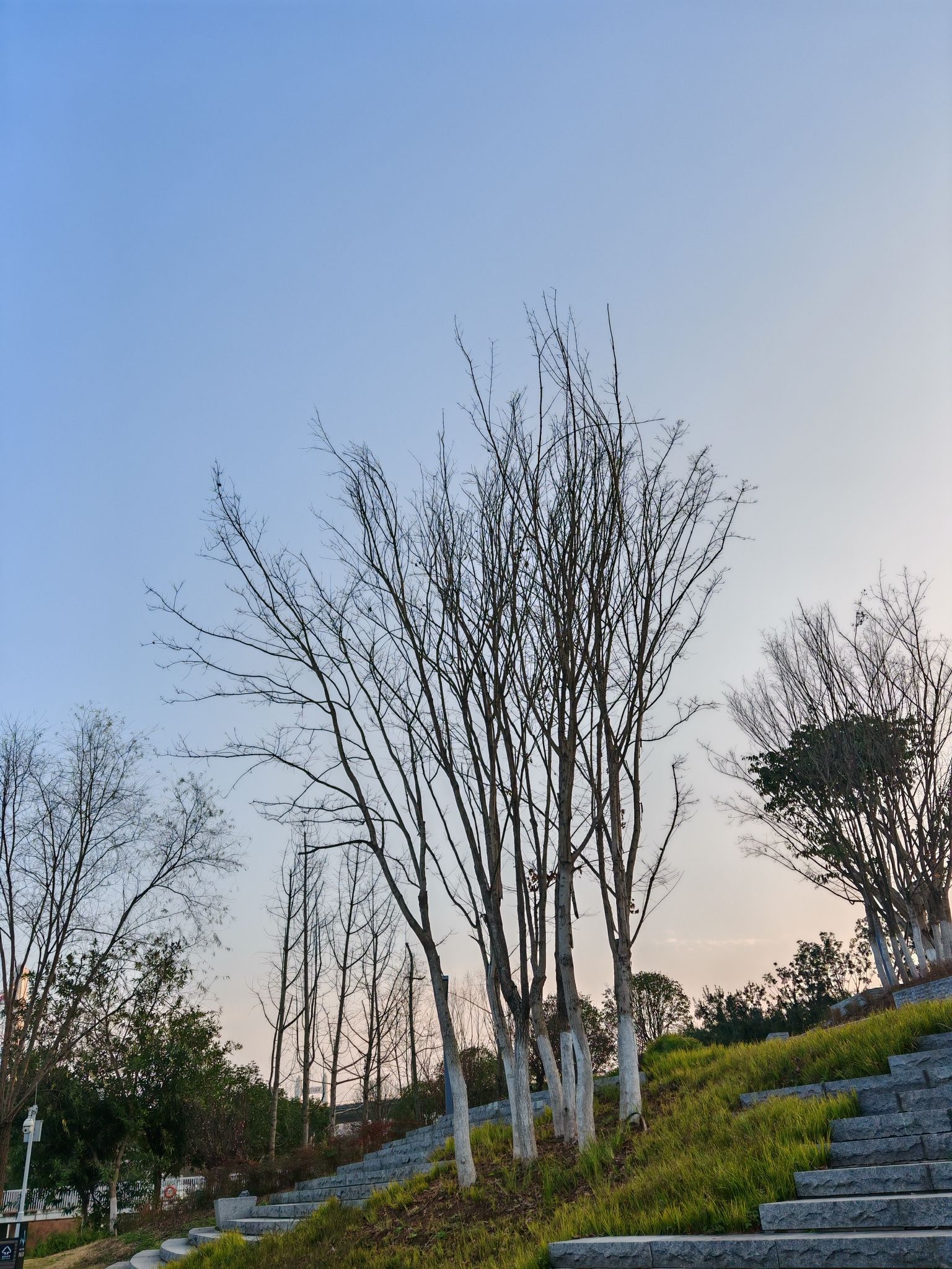 浒溪公园旅行图片 1