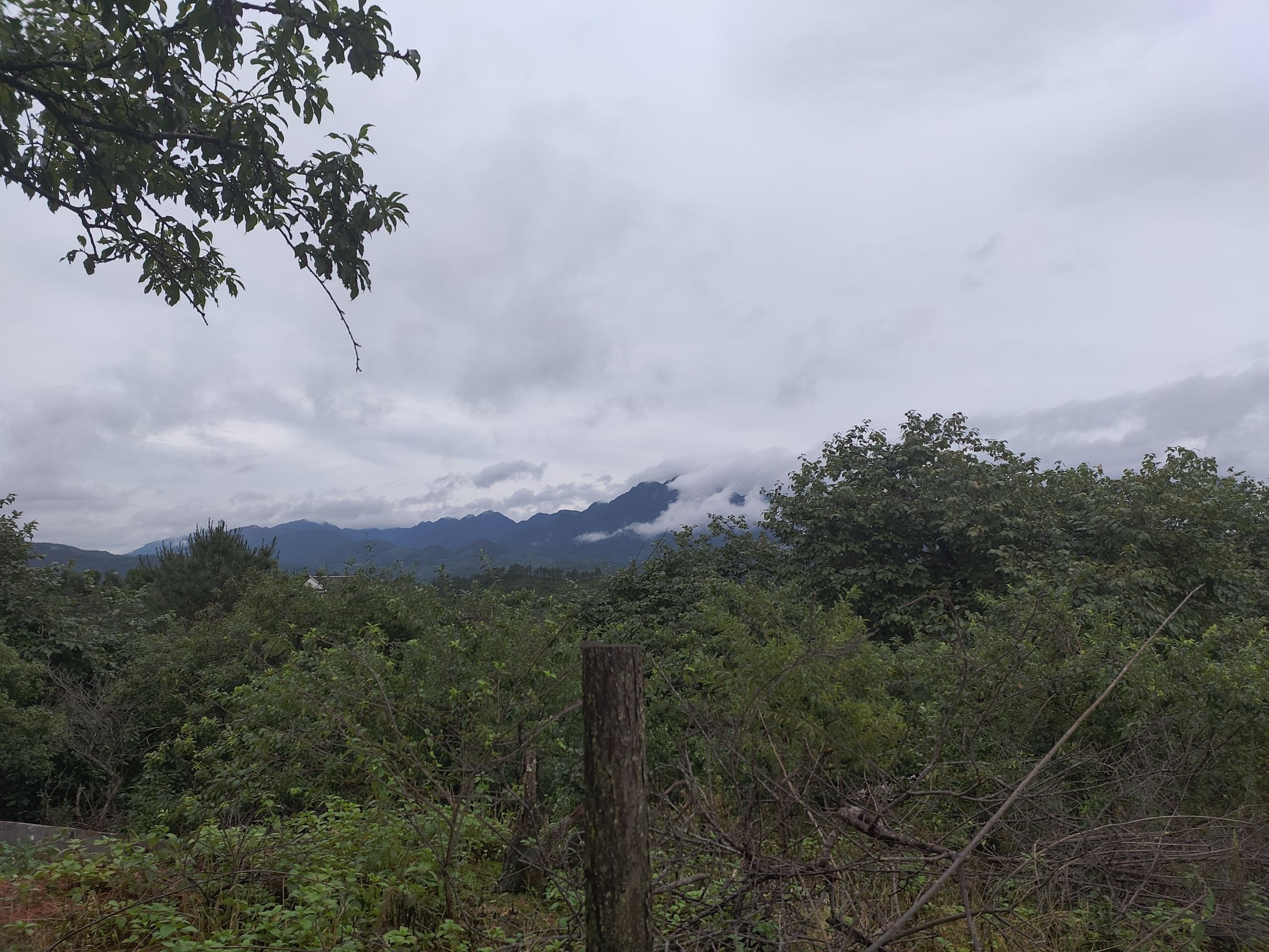 中国内地现代足球发源地旅行图片 1