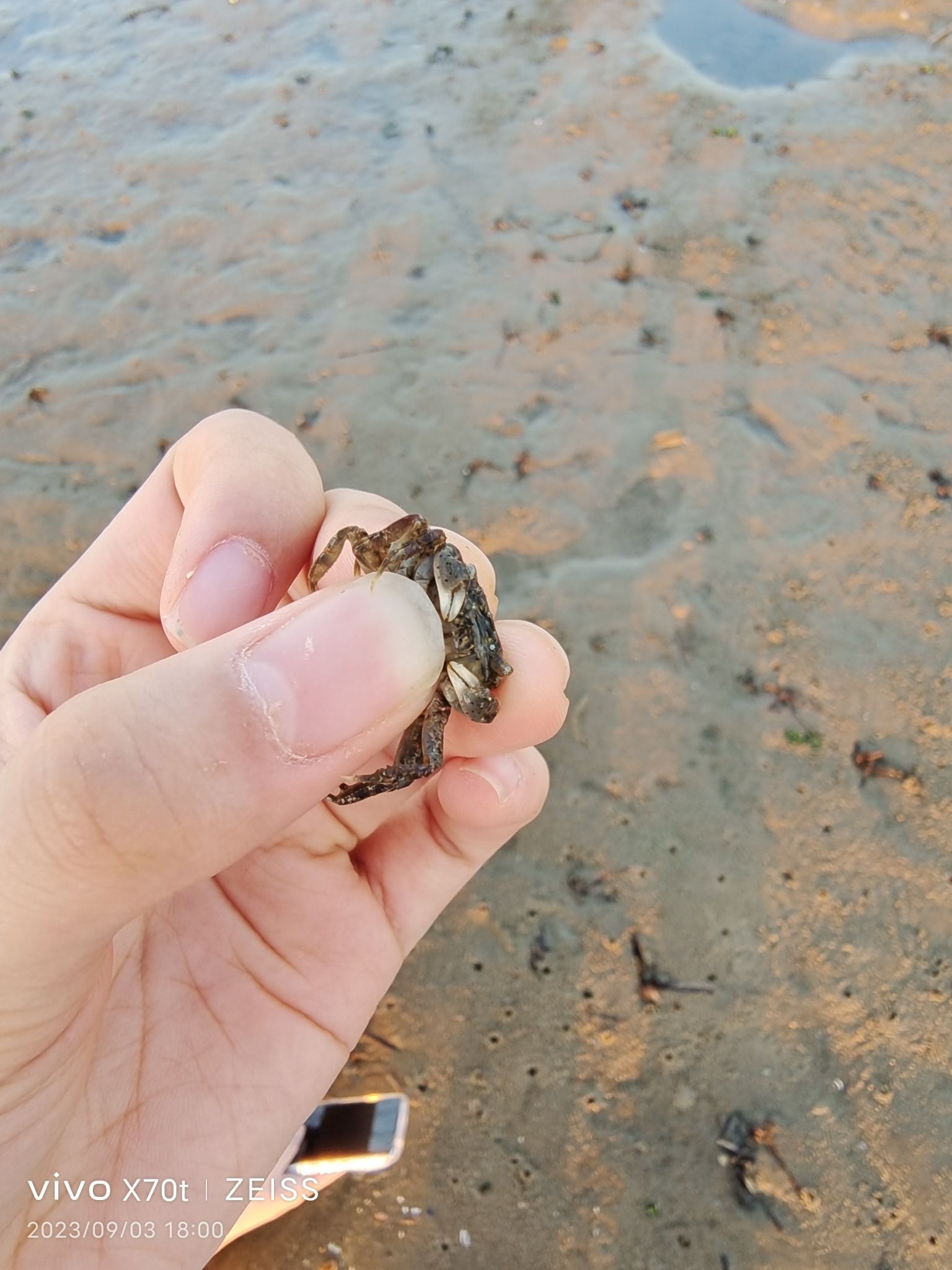 幸福岸线海滨公园旅行图片 2