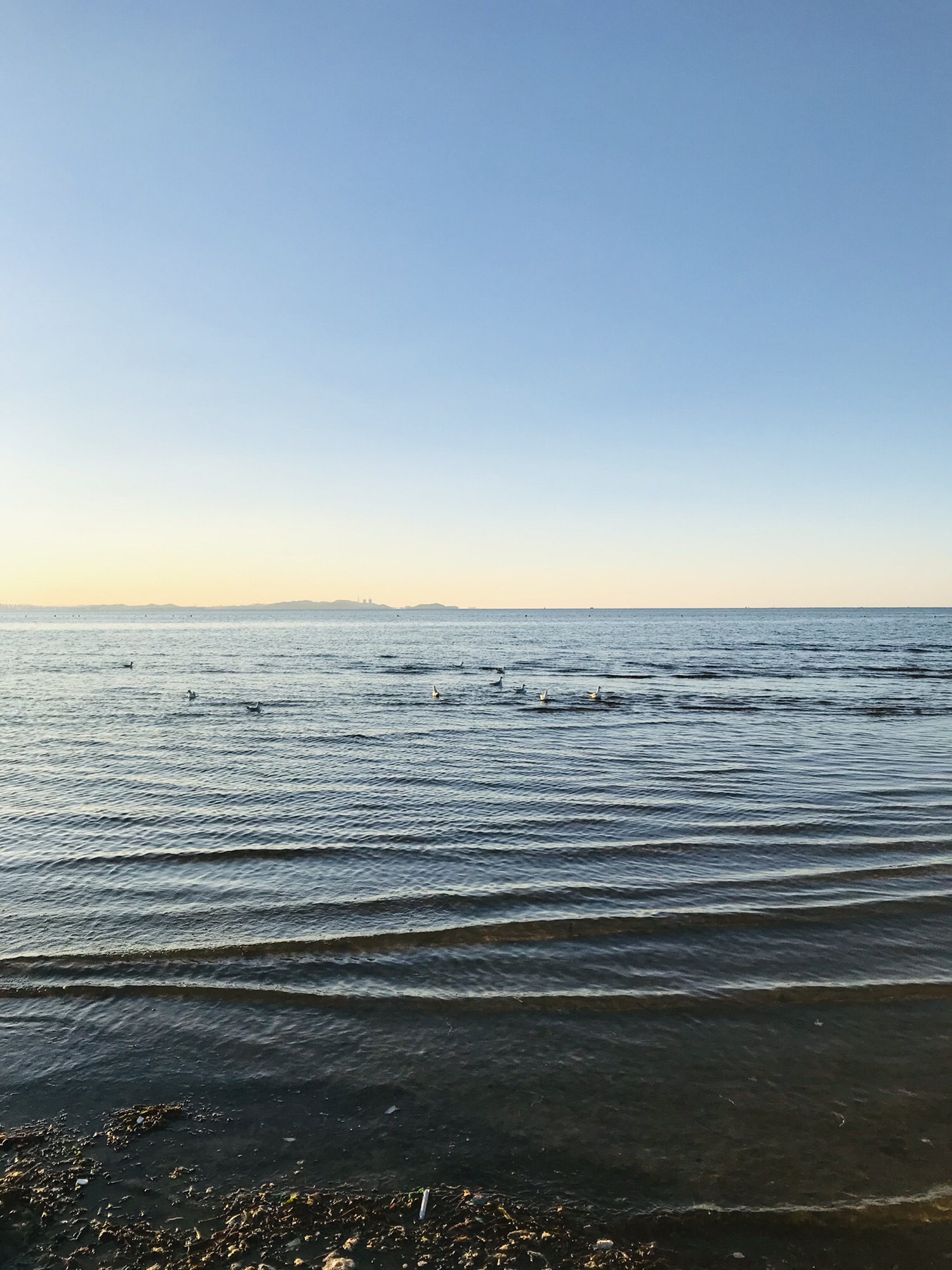 幸福岸线海滨公园旅行图片 2