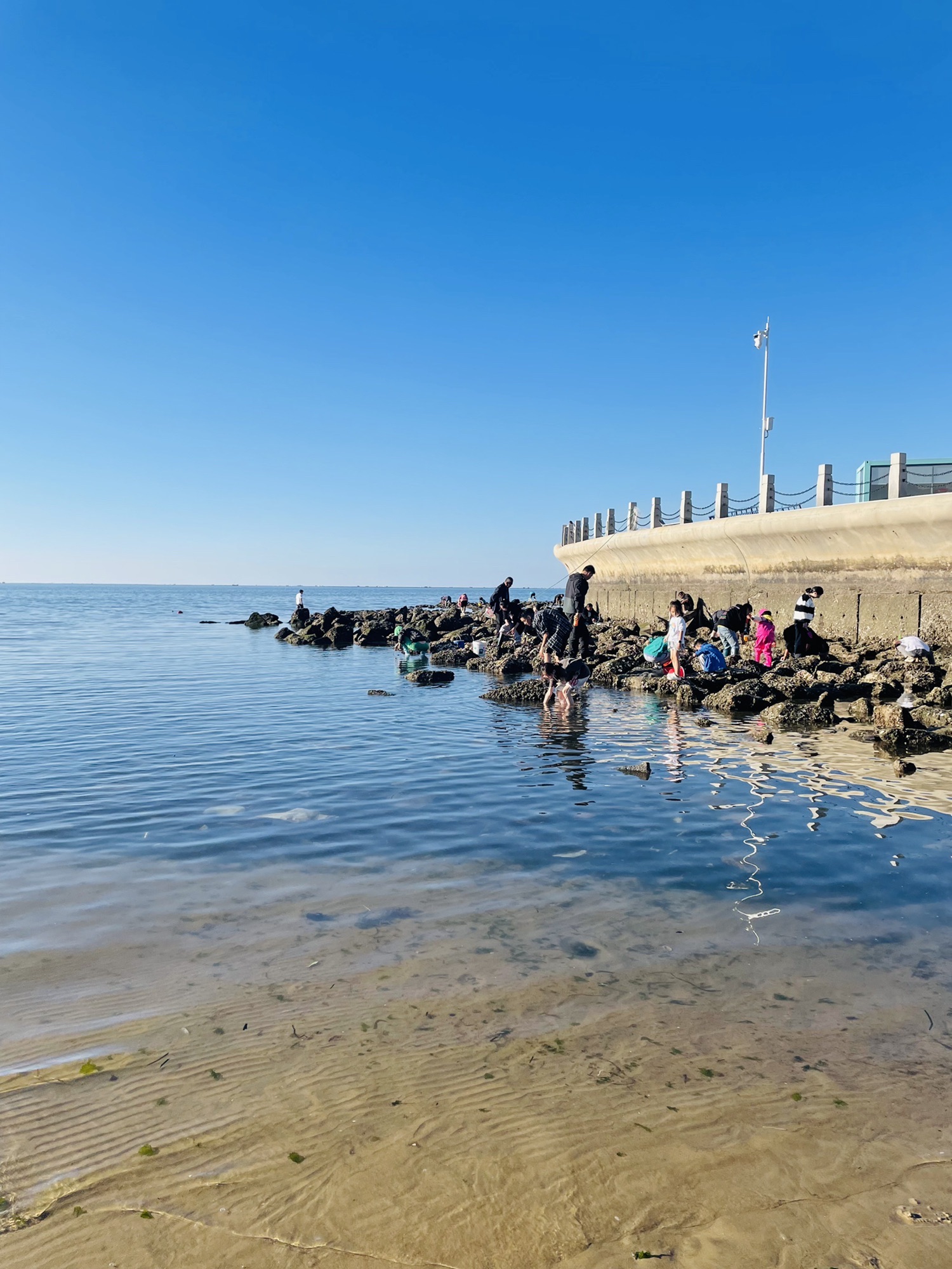 幸福岸线海滨公园旅行图片 2