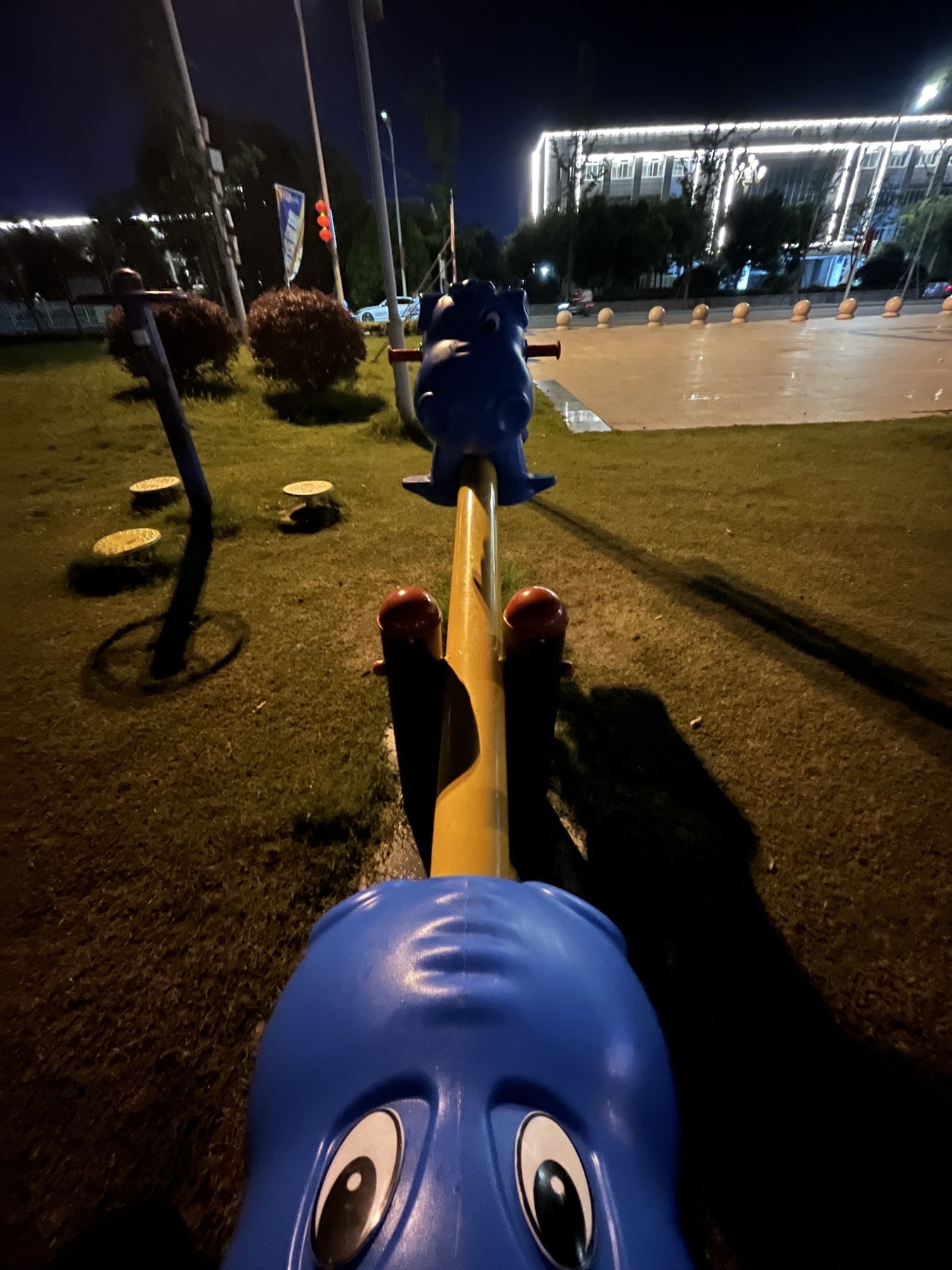 兴仪公园旅行图片 2