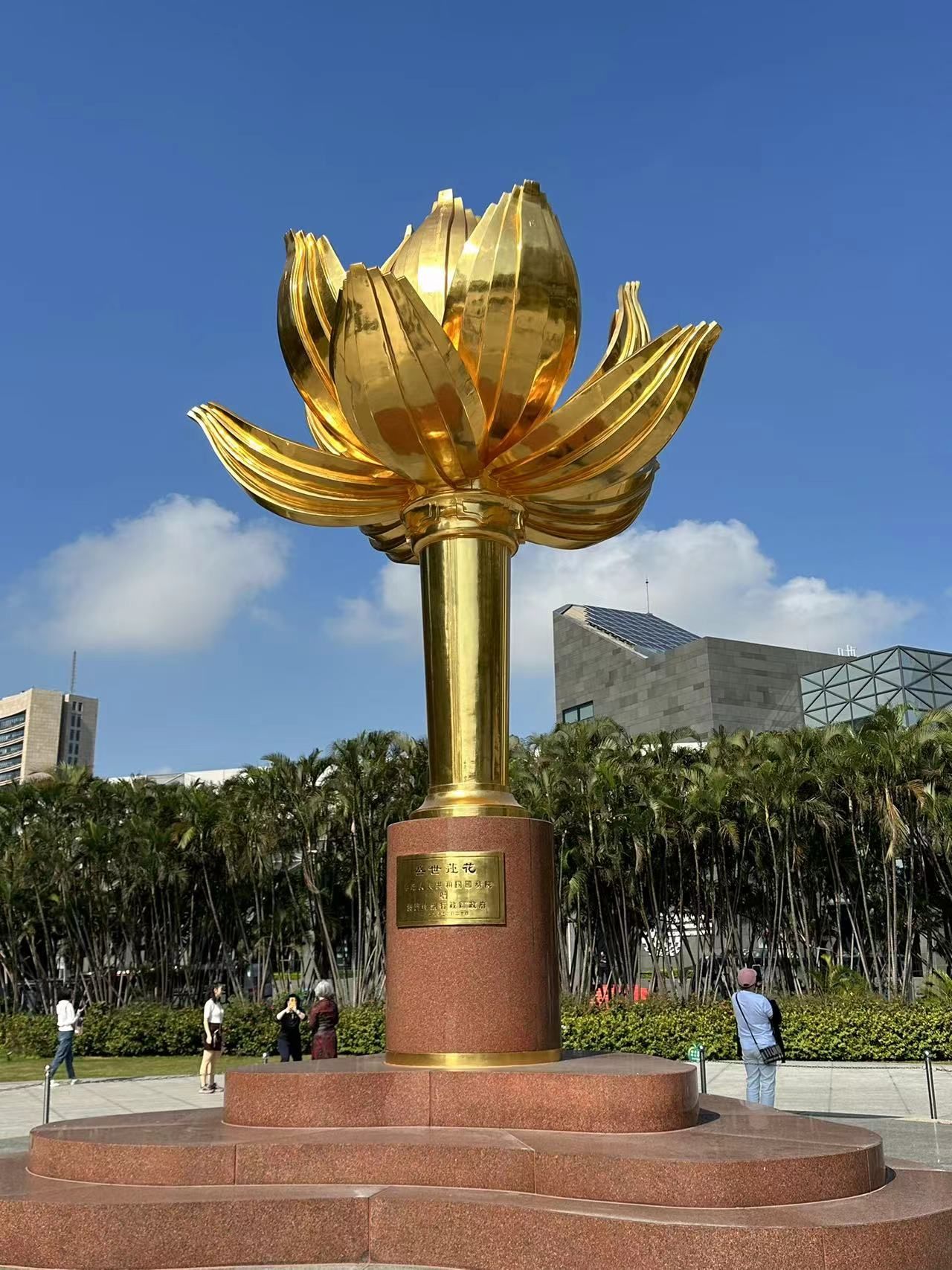 蓝海豚岛旅行图片 2