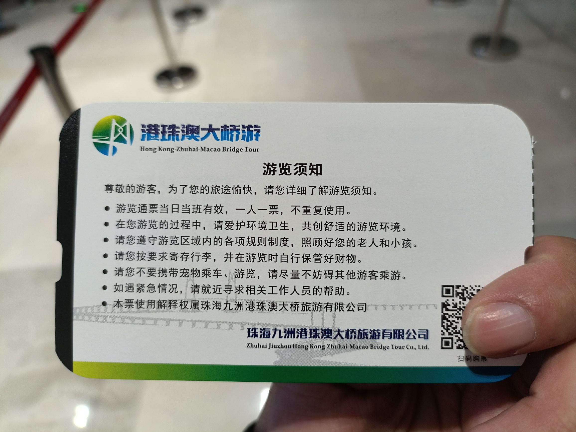蓝海豚岛旅行图片 2