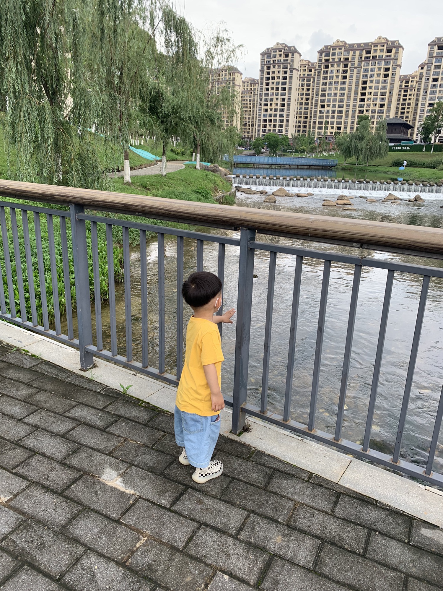 南昌市新建区凤鸣湖公园旅行图片 1