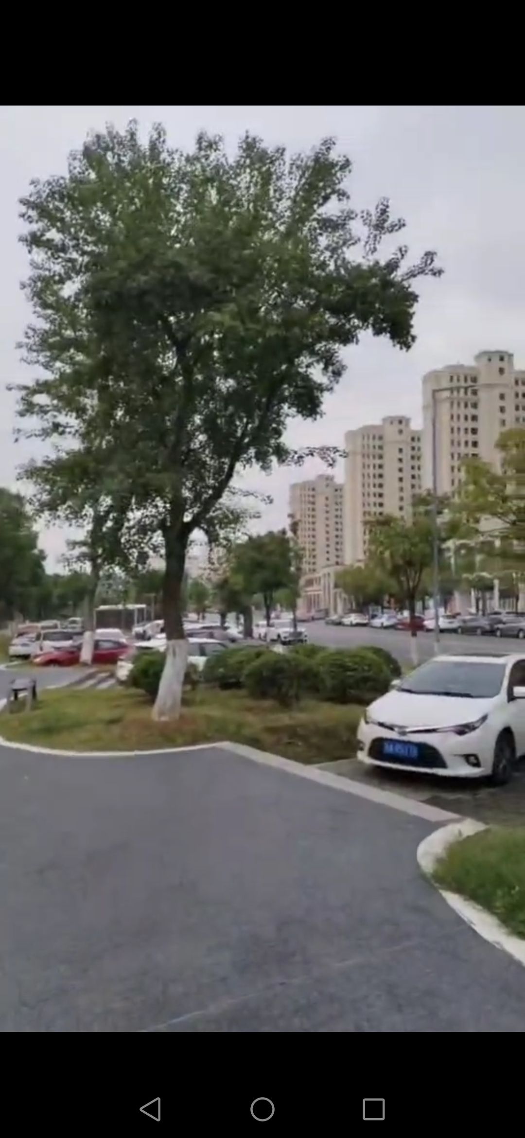 南昌市新建区凤鸣湖公园旅行图片 2