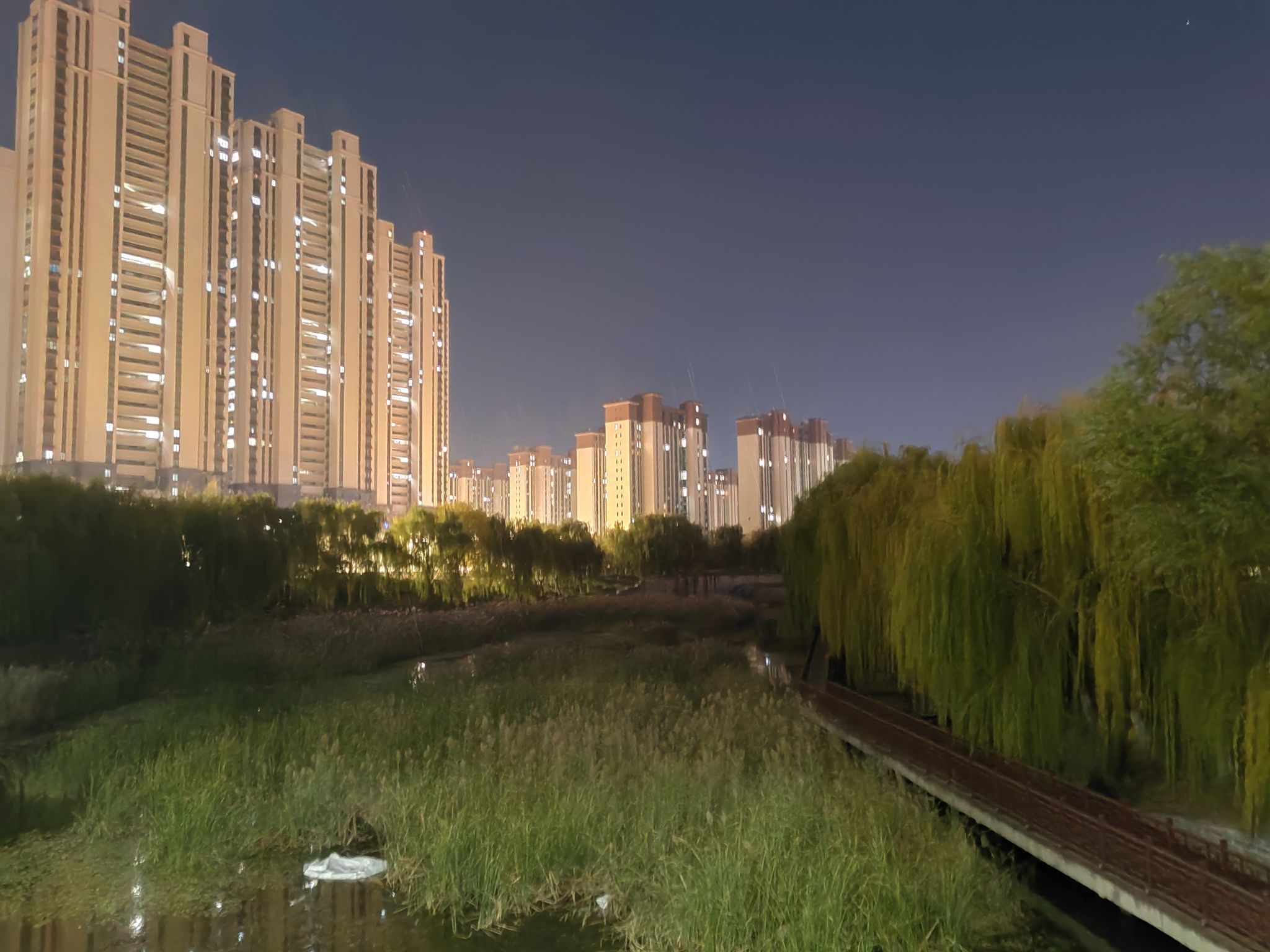 叉河公园旅行图片 3