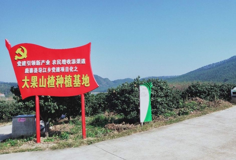 广西山楂花景区旅行图片 3