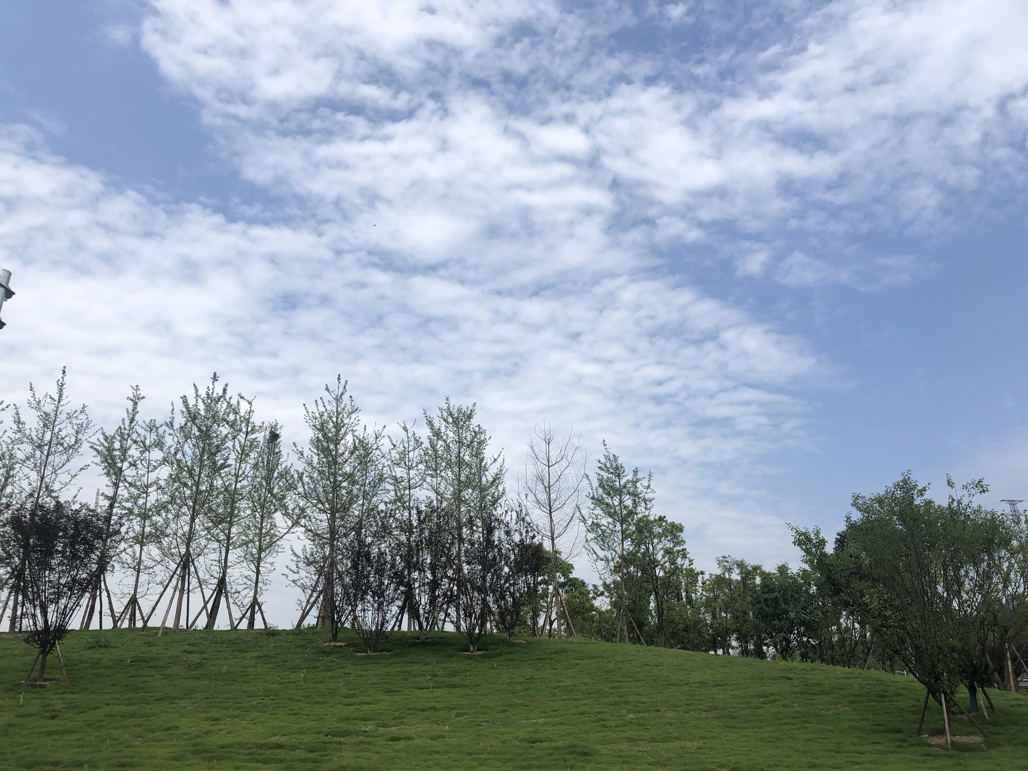 原乡中央公园旅行图片 2
