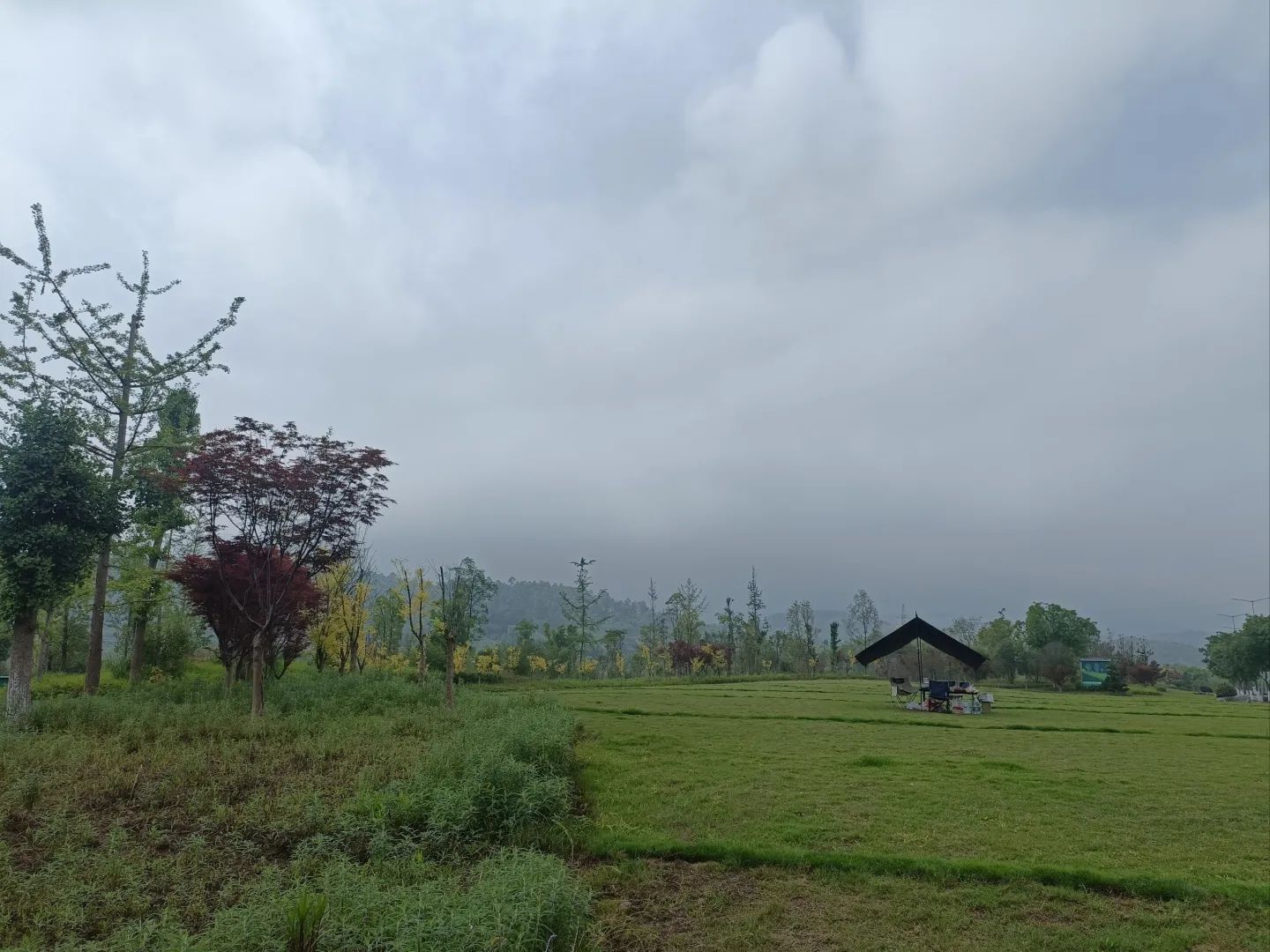 原乡中央公园旅行图片 3