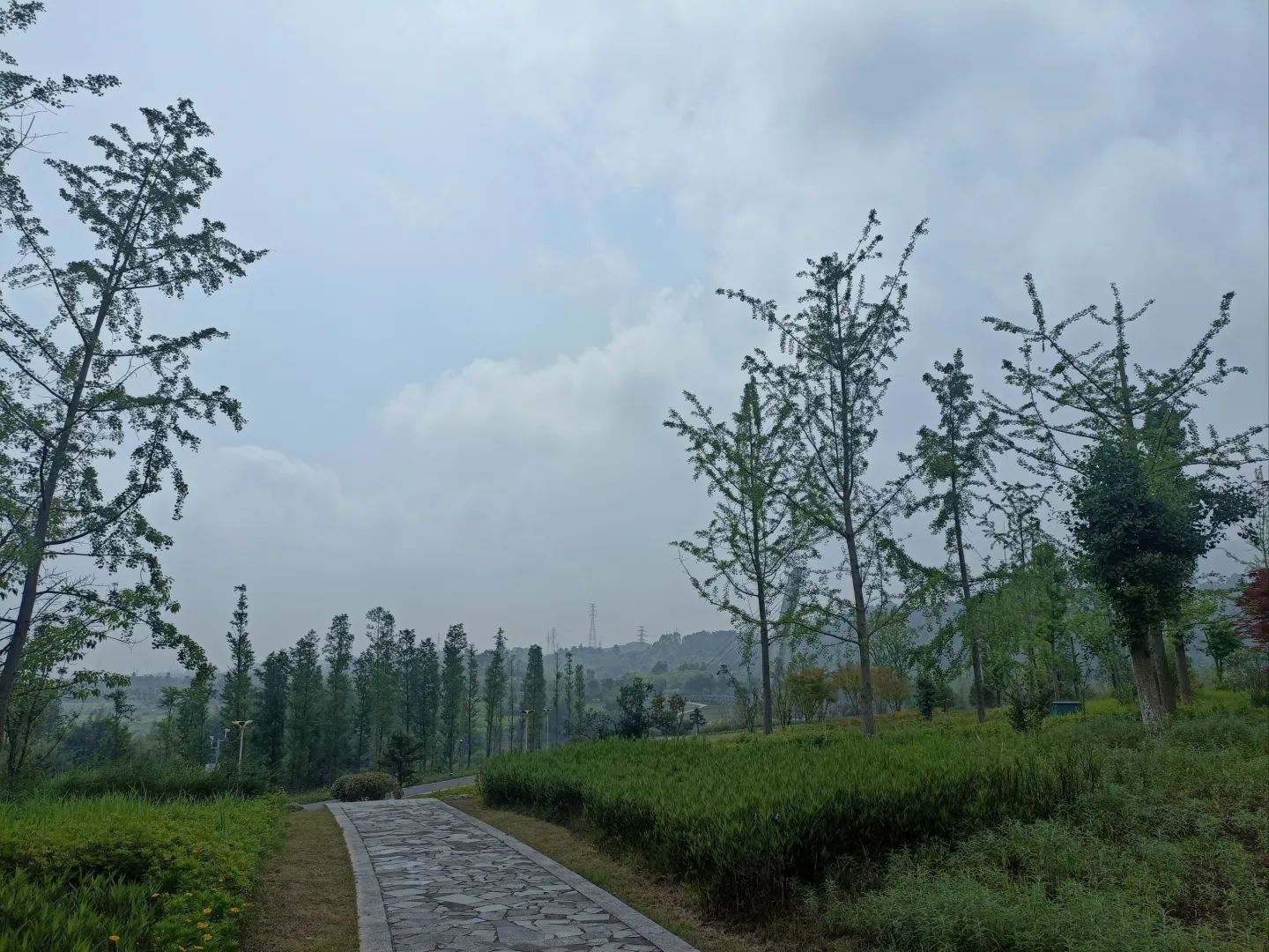 原乡中央公园旅行图片 2