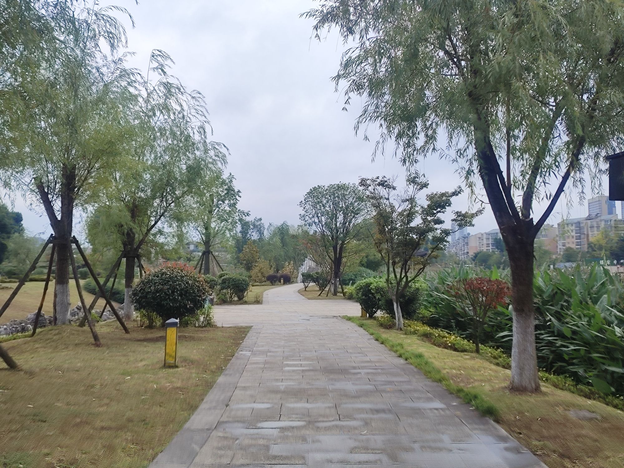 七彩湖公园旅行图片 1