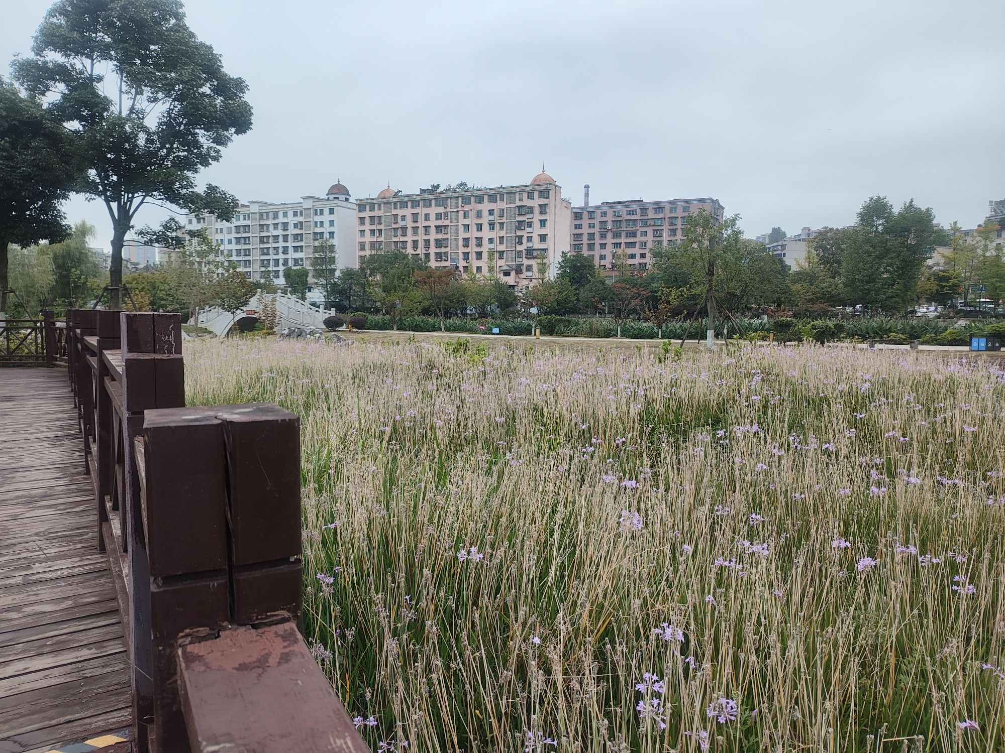 七彩湖公园旅行图片 2