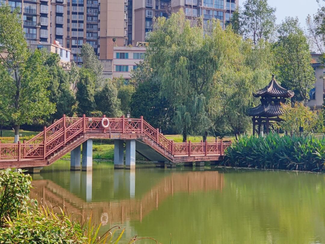 七彩湖公园旅行图片 2