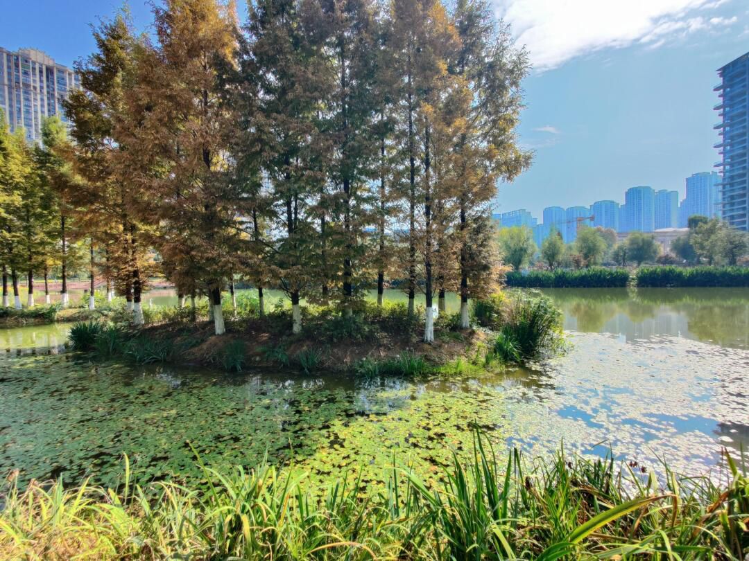 七彩湖公园旅行图片 3