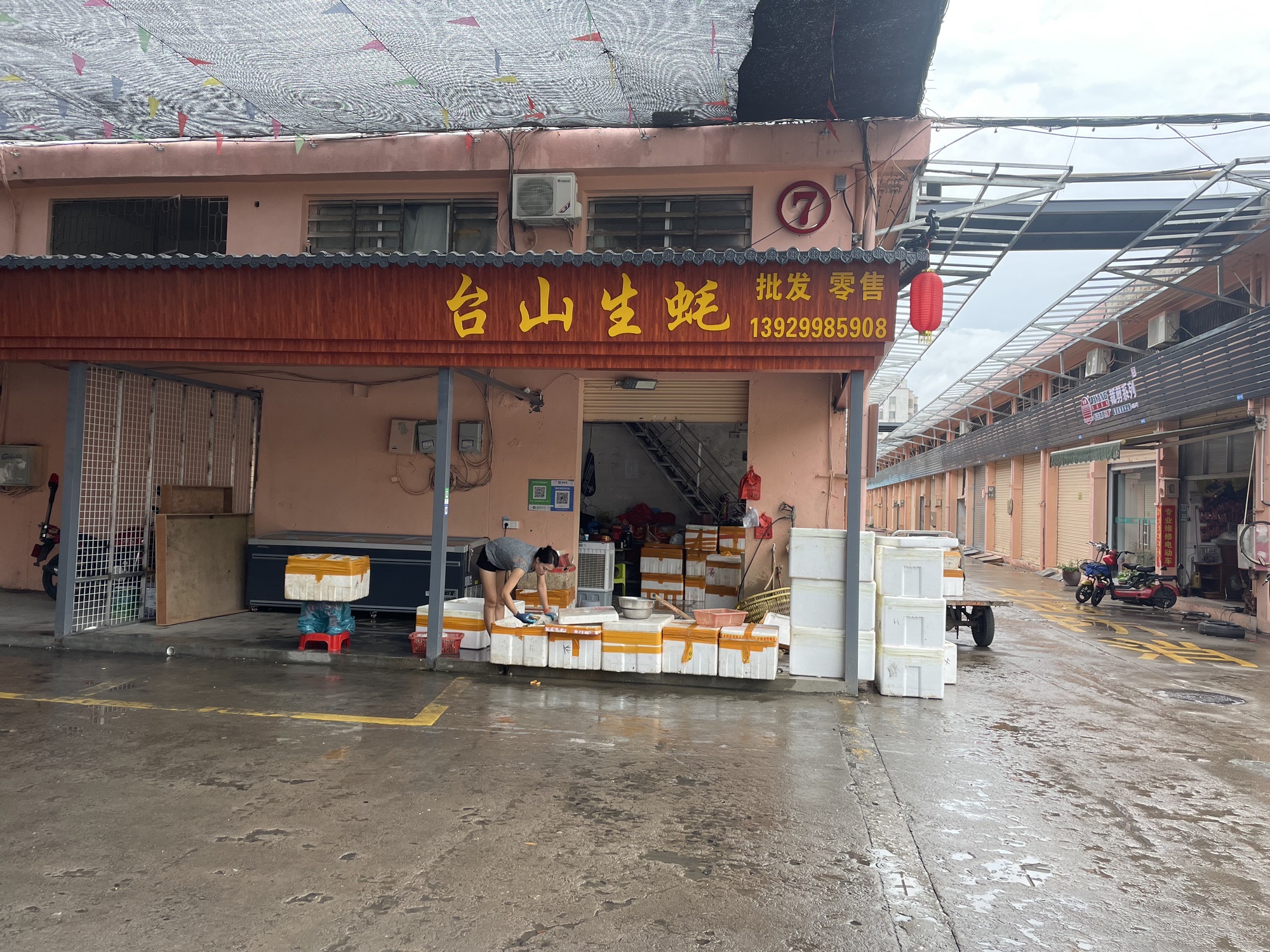 台山生蚝批发(佛山市城西综合批发市场店)
