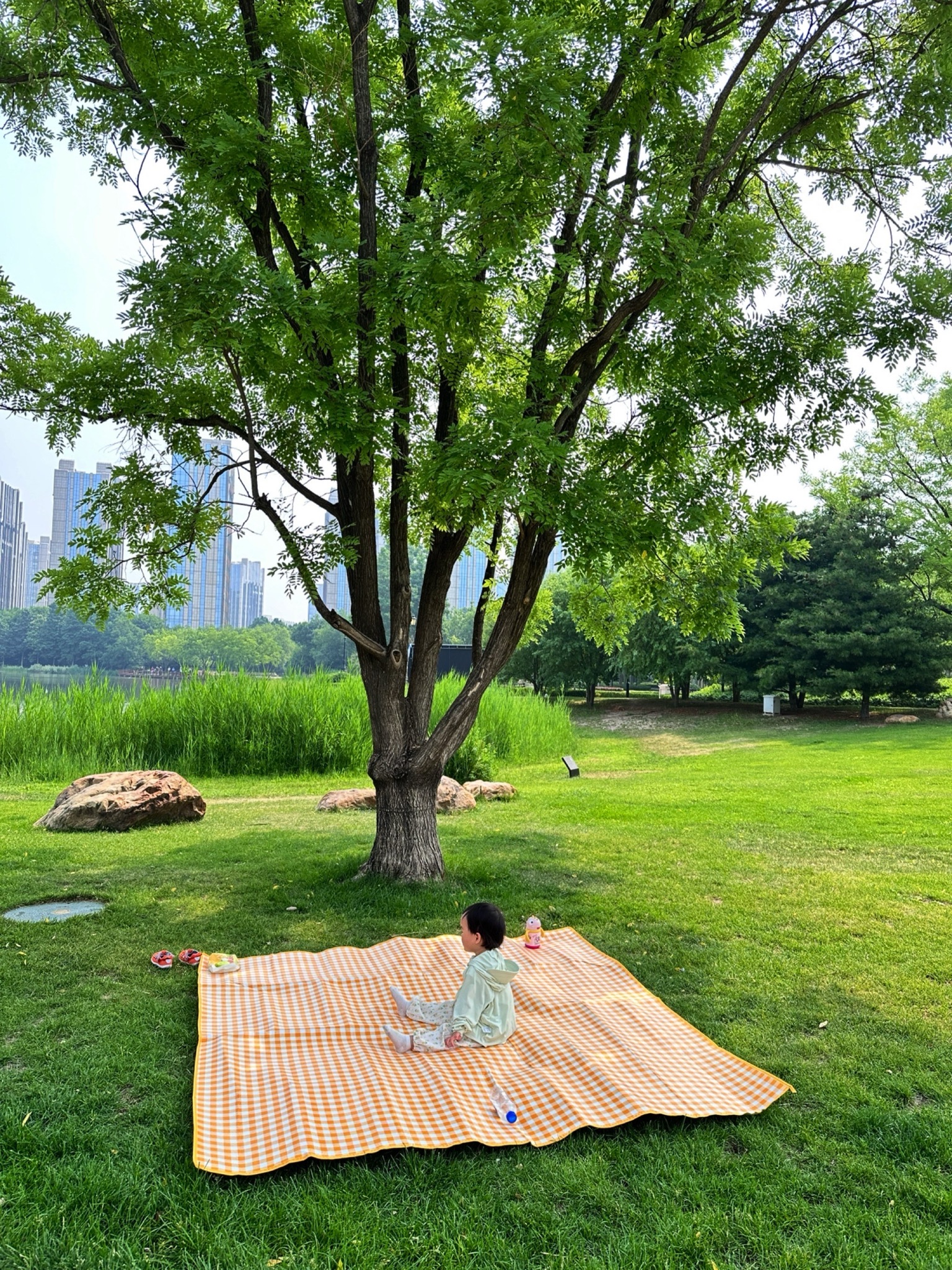 海德park旅行图片 1