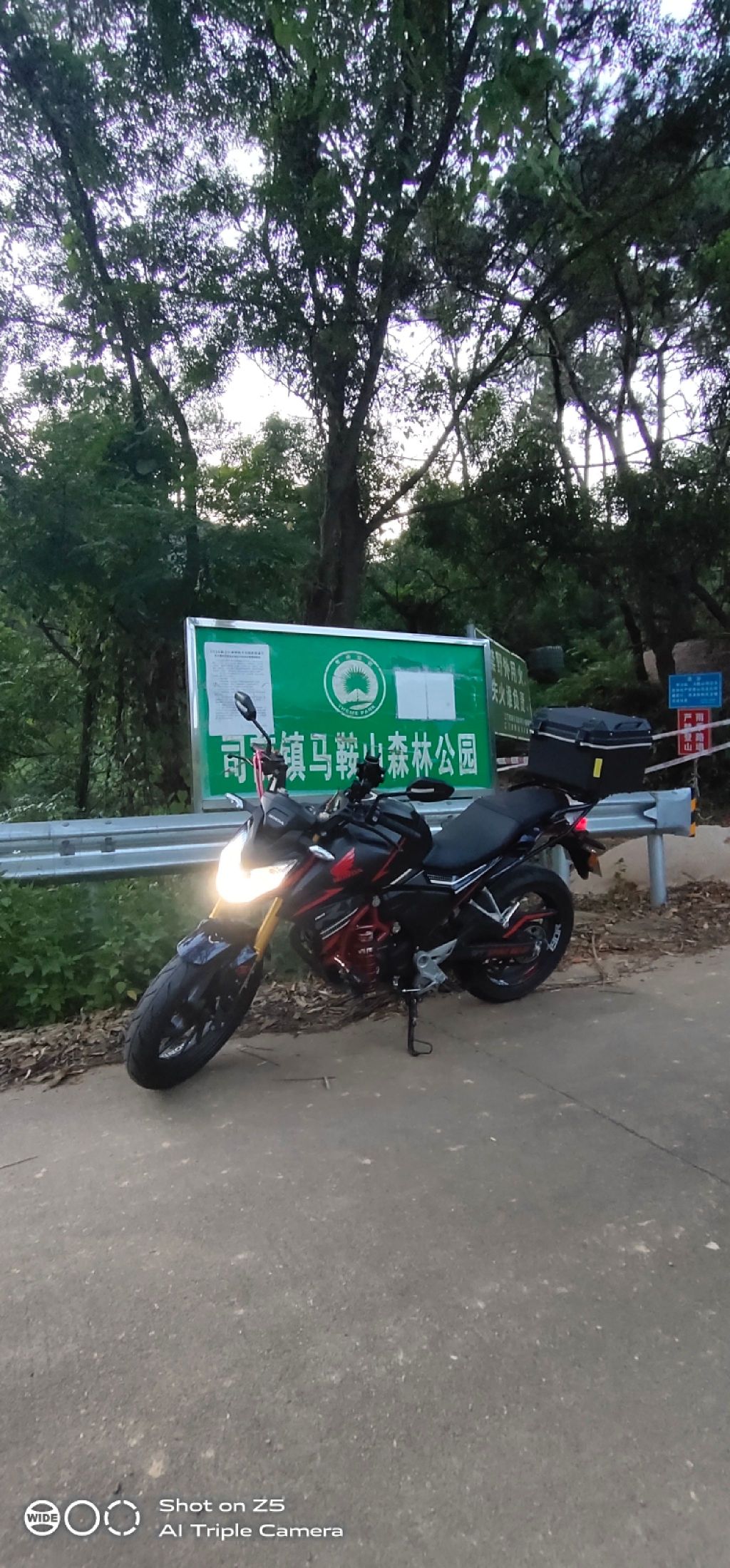 司前镇马鞍山森林公园旅行图片 1
