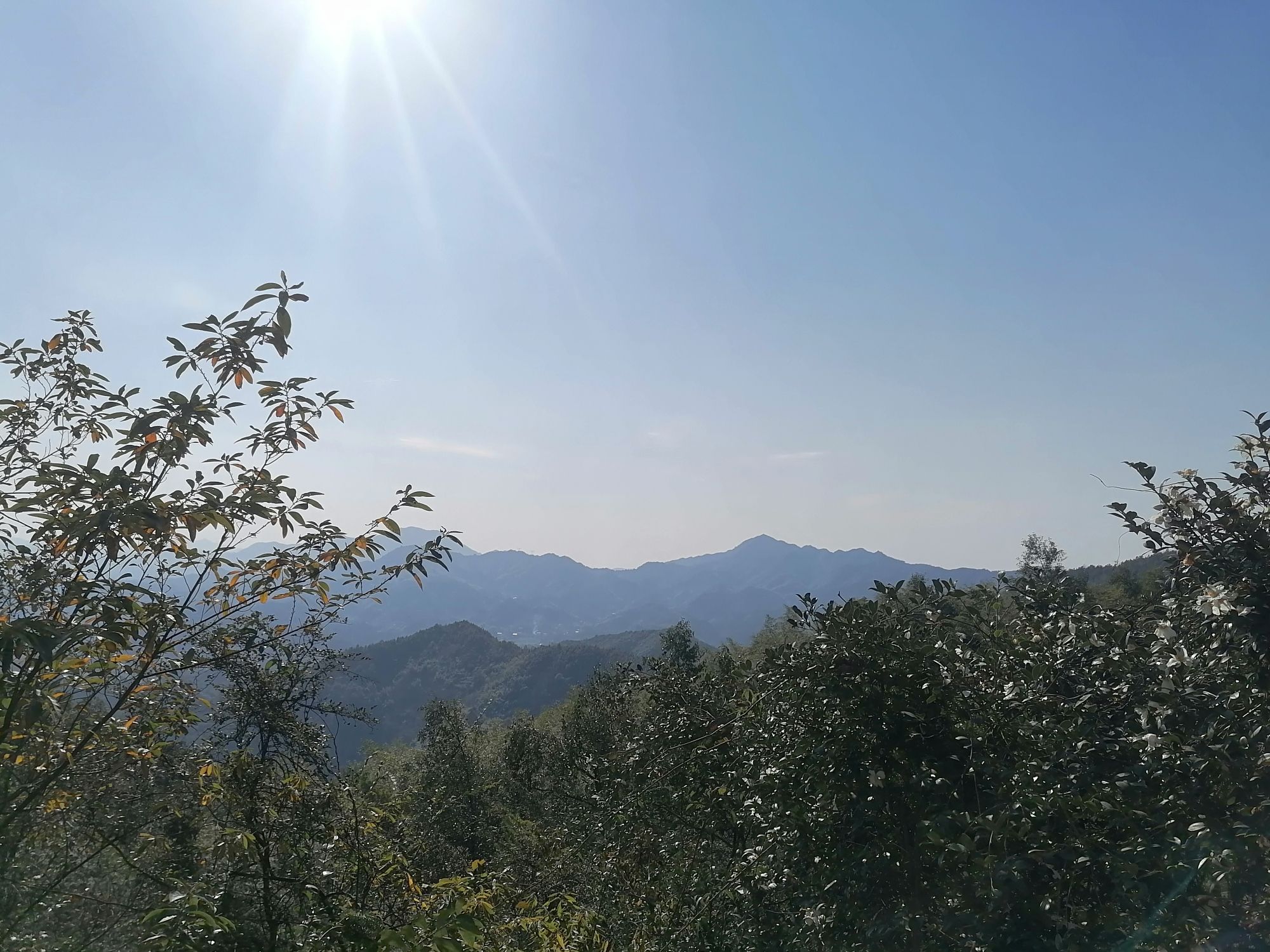 明月峰旅行图片 2