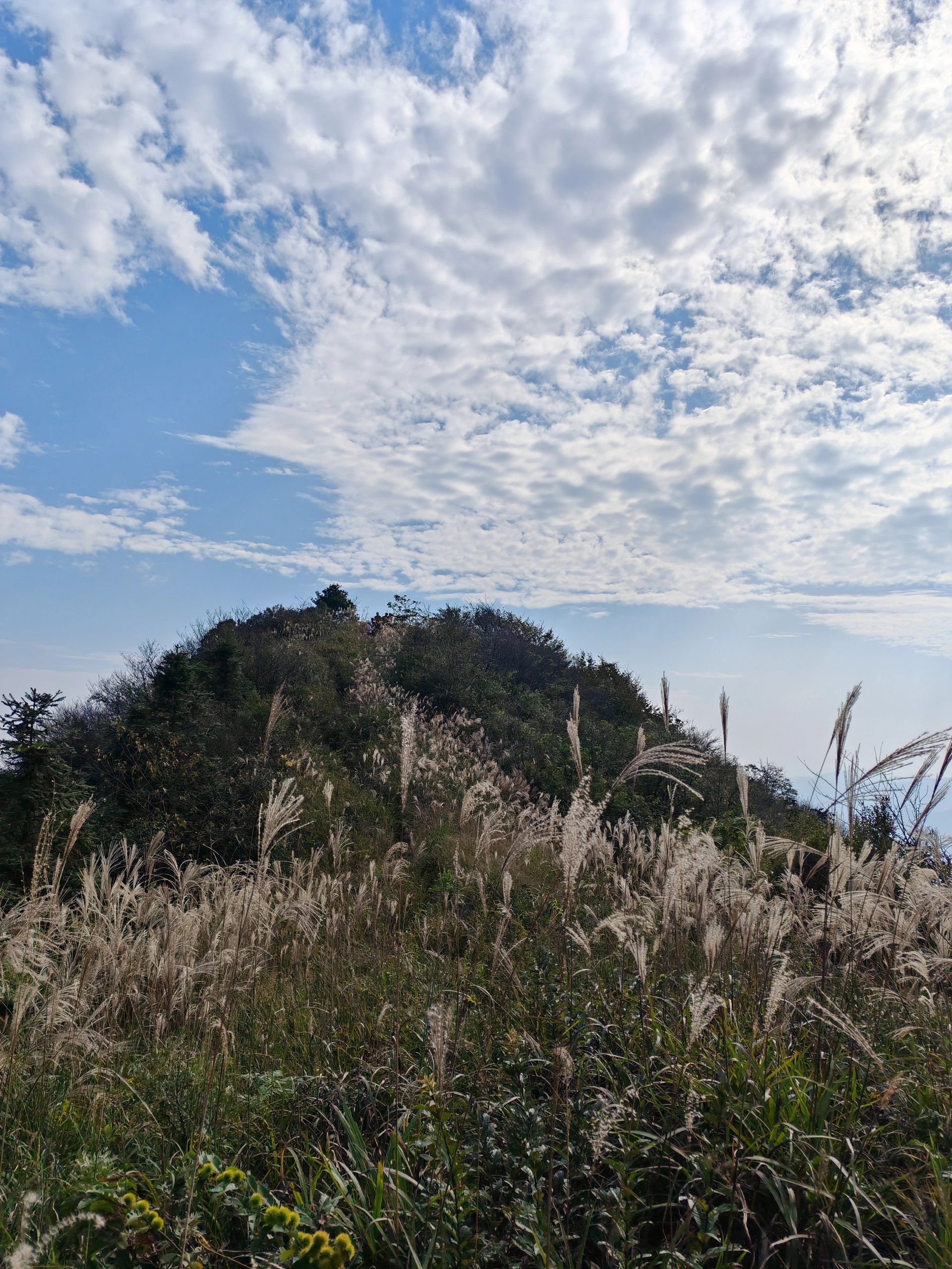 明月峰旅行图片 3
