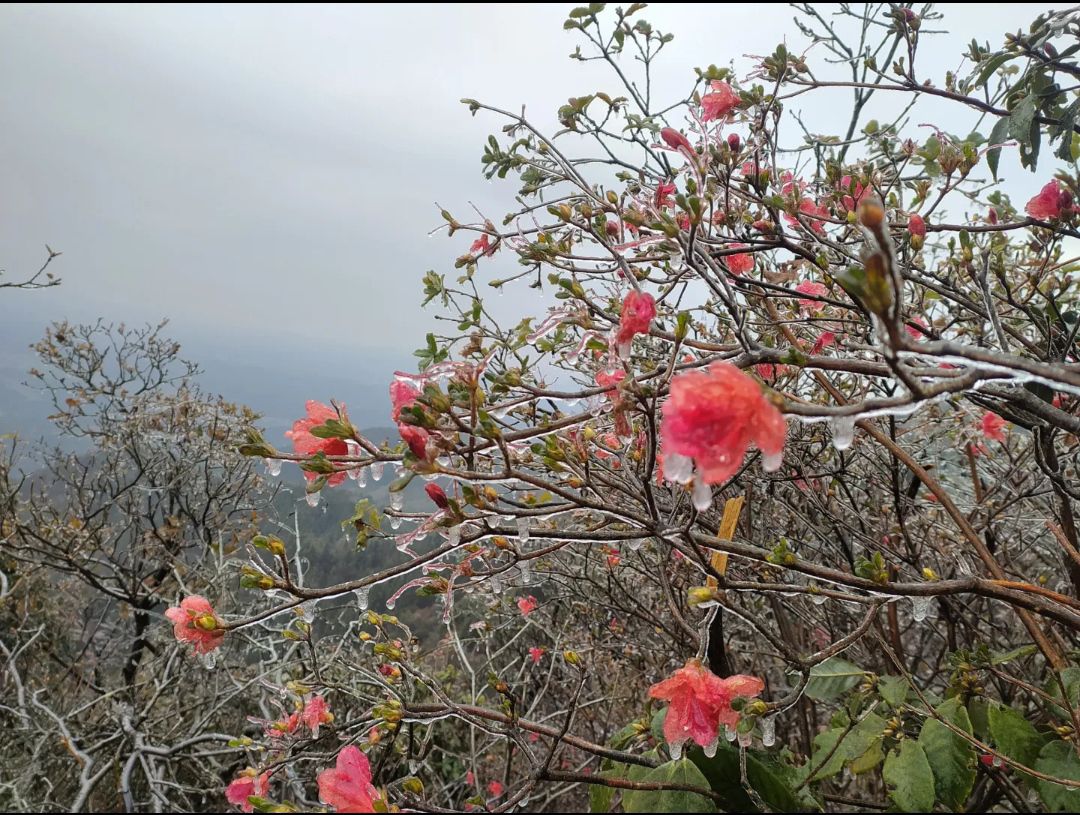 明月峰旅行图片 2