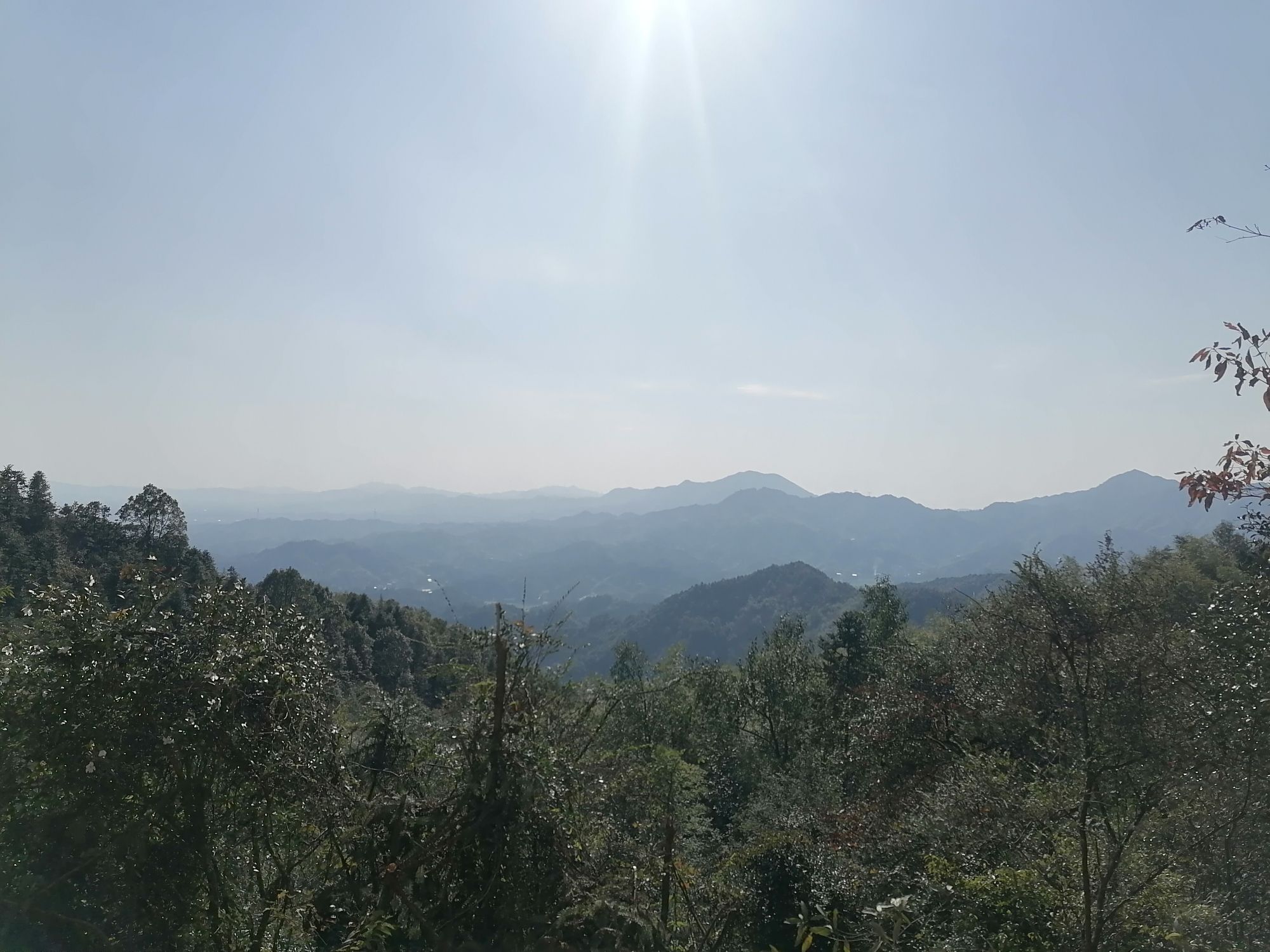 明月峰旅行图片 3