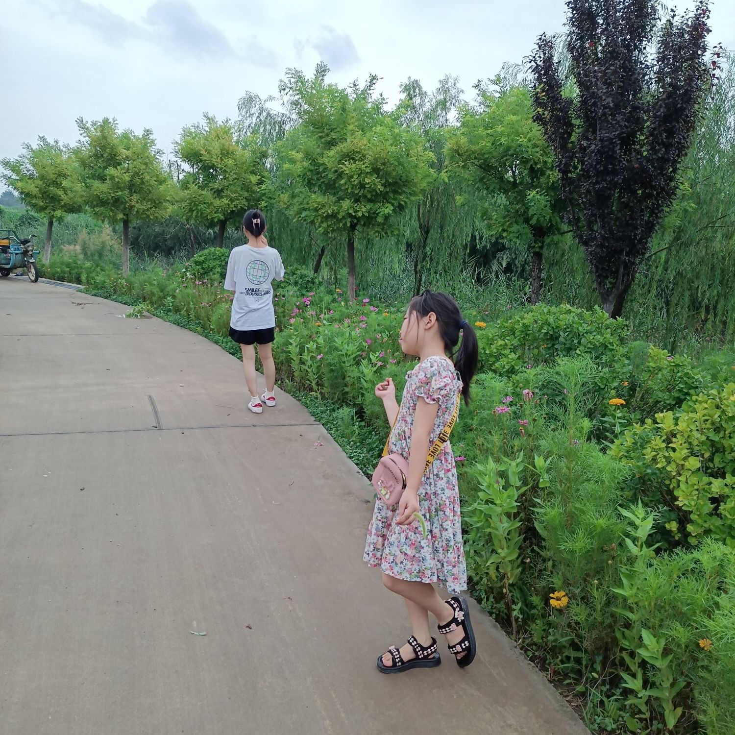 陆乡文化公园旅行图片 3