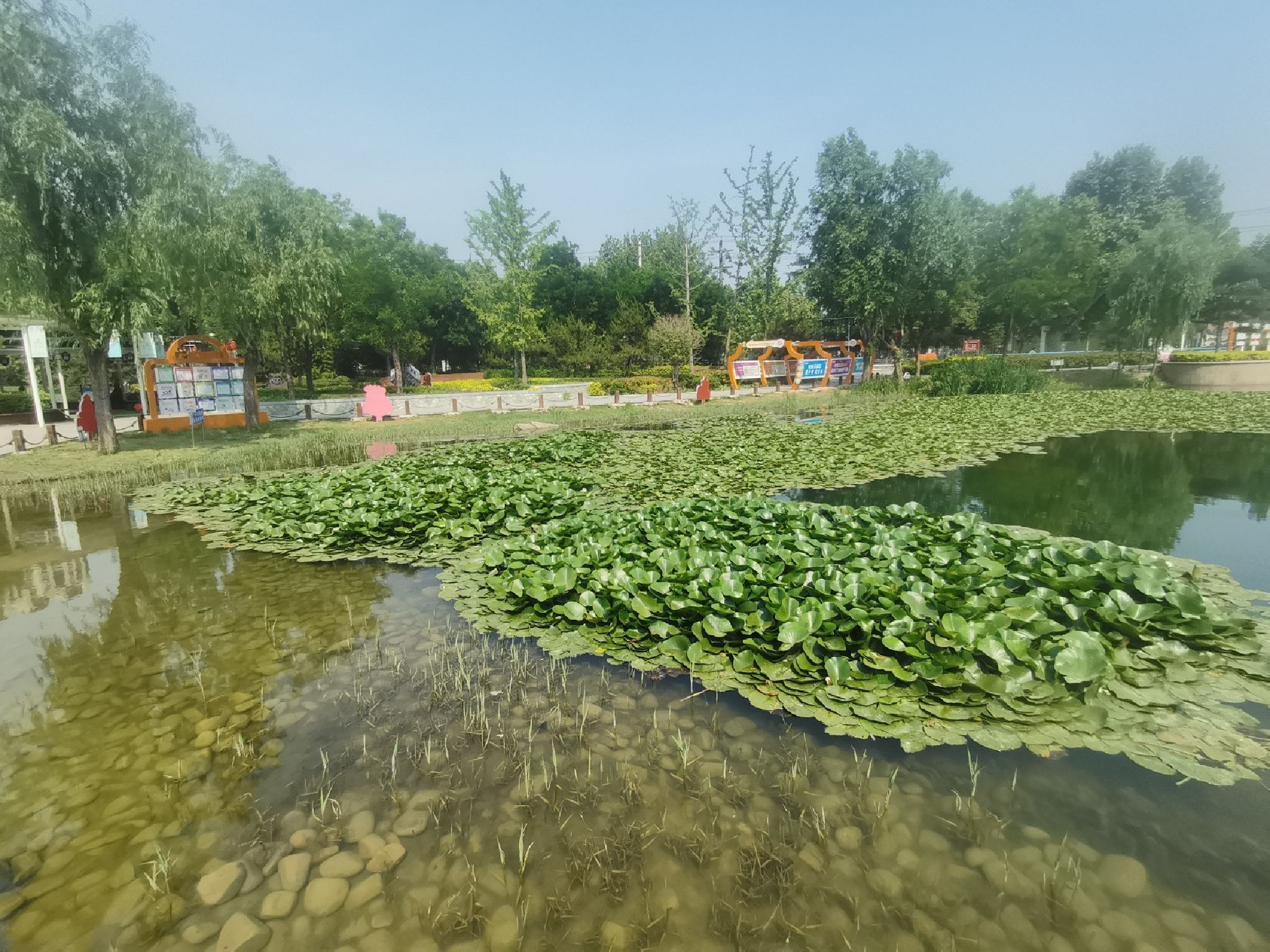 开元湖网络安全主题公园旅行图片 2