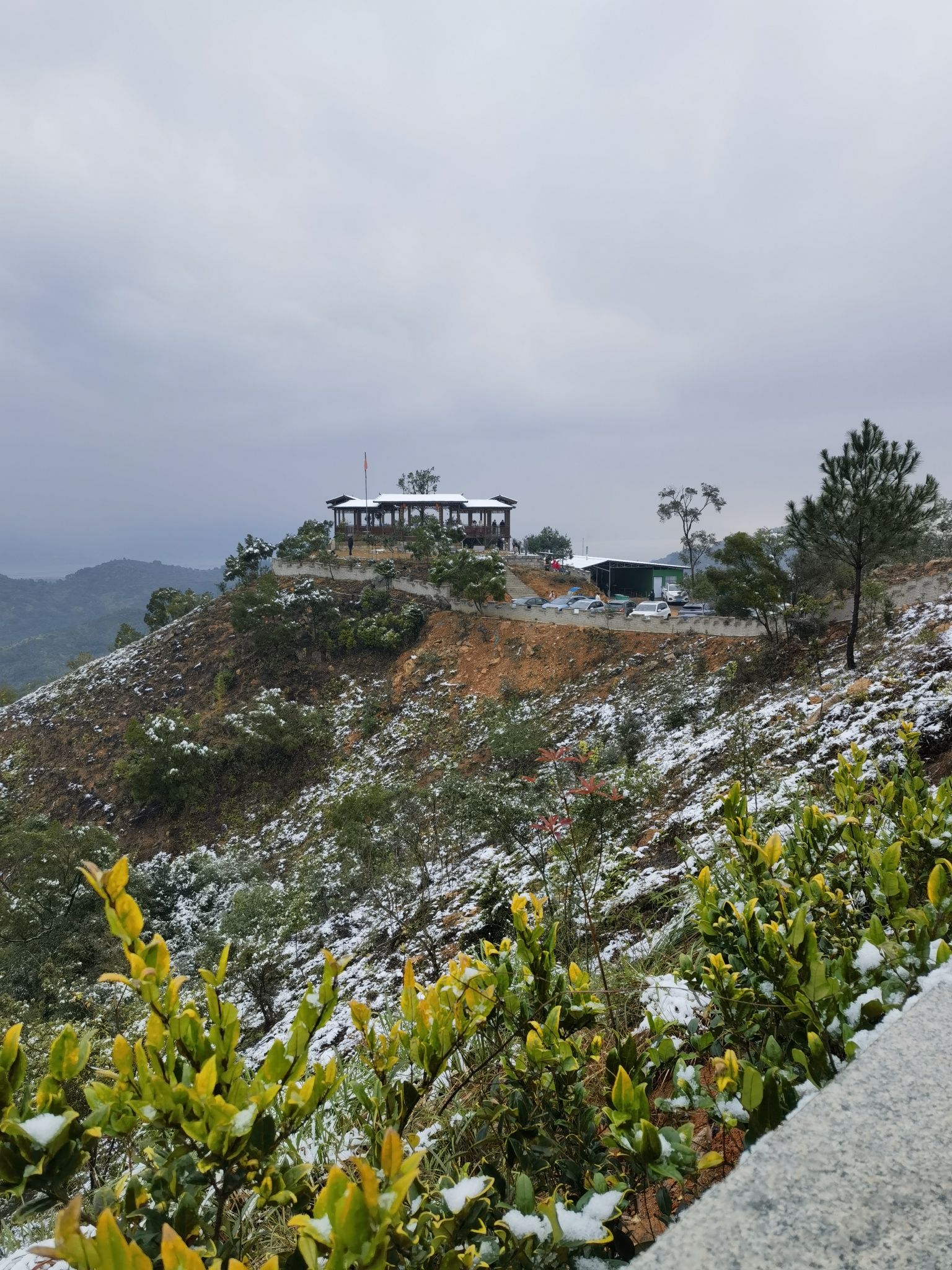 湖里旗山公园旅行图片 1