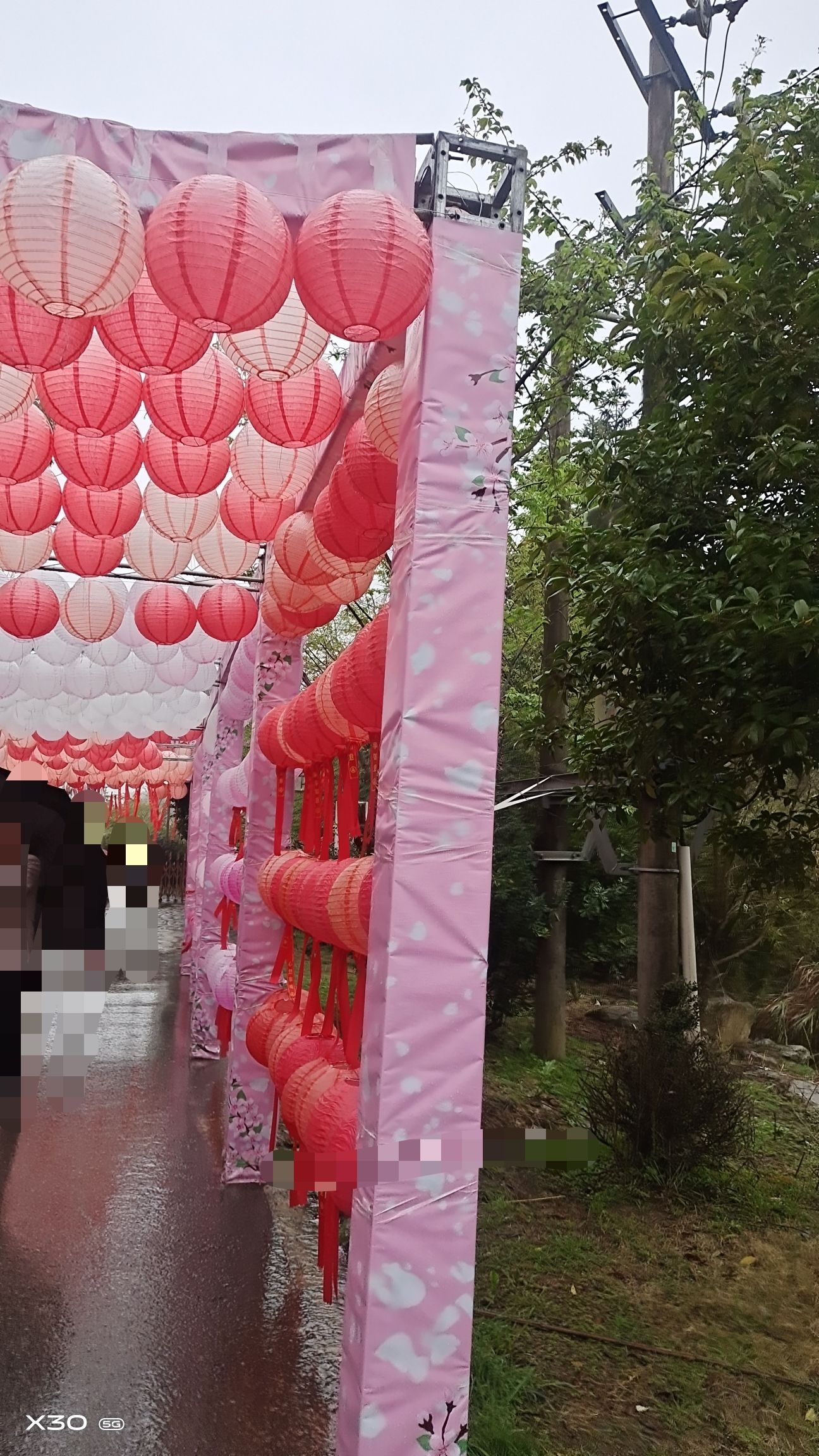 明月山花海原居旅行图片 1