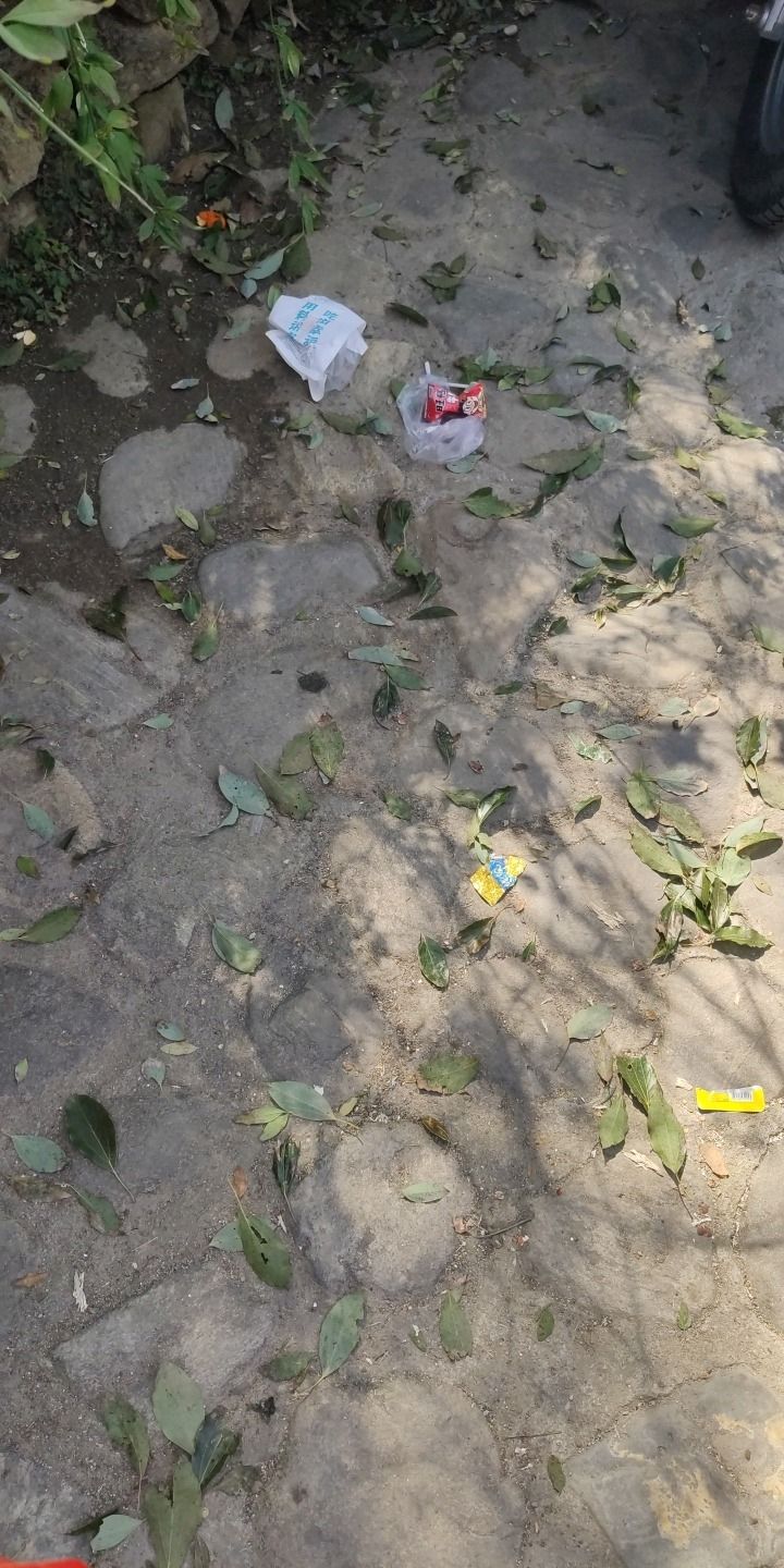 明月山花海原居旅行图片 1