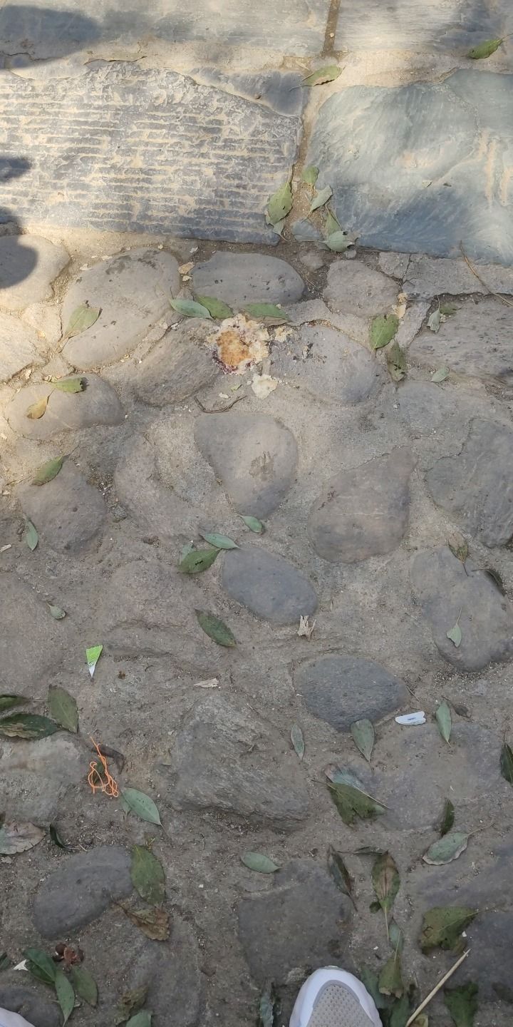 明月山花海原居旅行图片 3