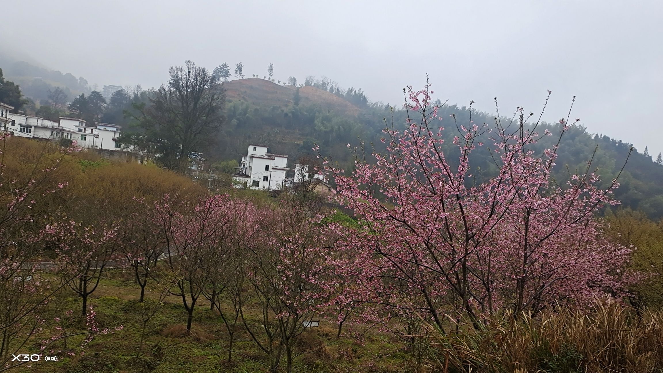 明月山花海原居旅行图片 2