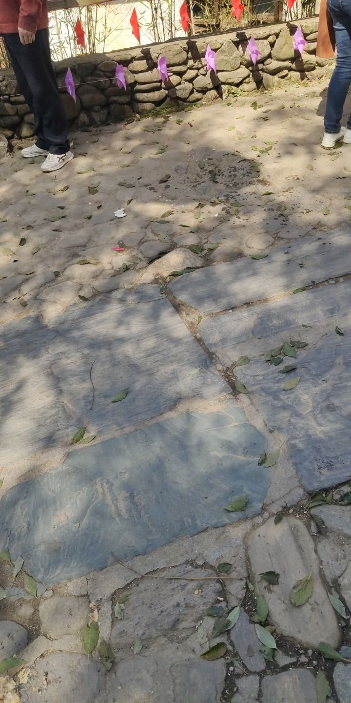 明月山花海原居旅行图片 2