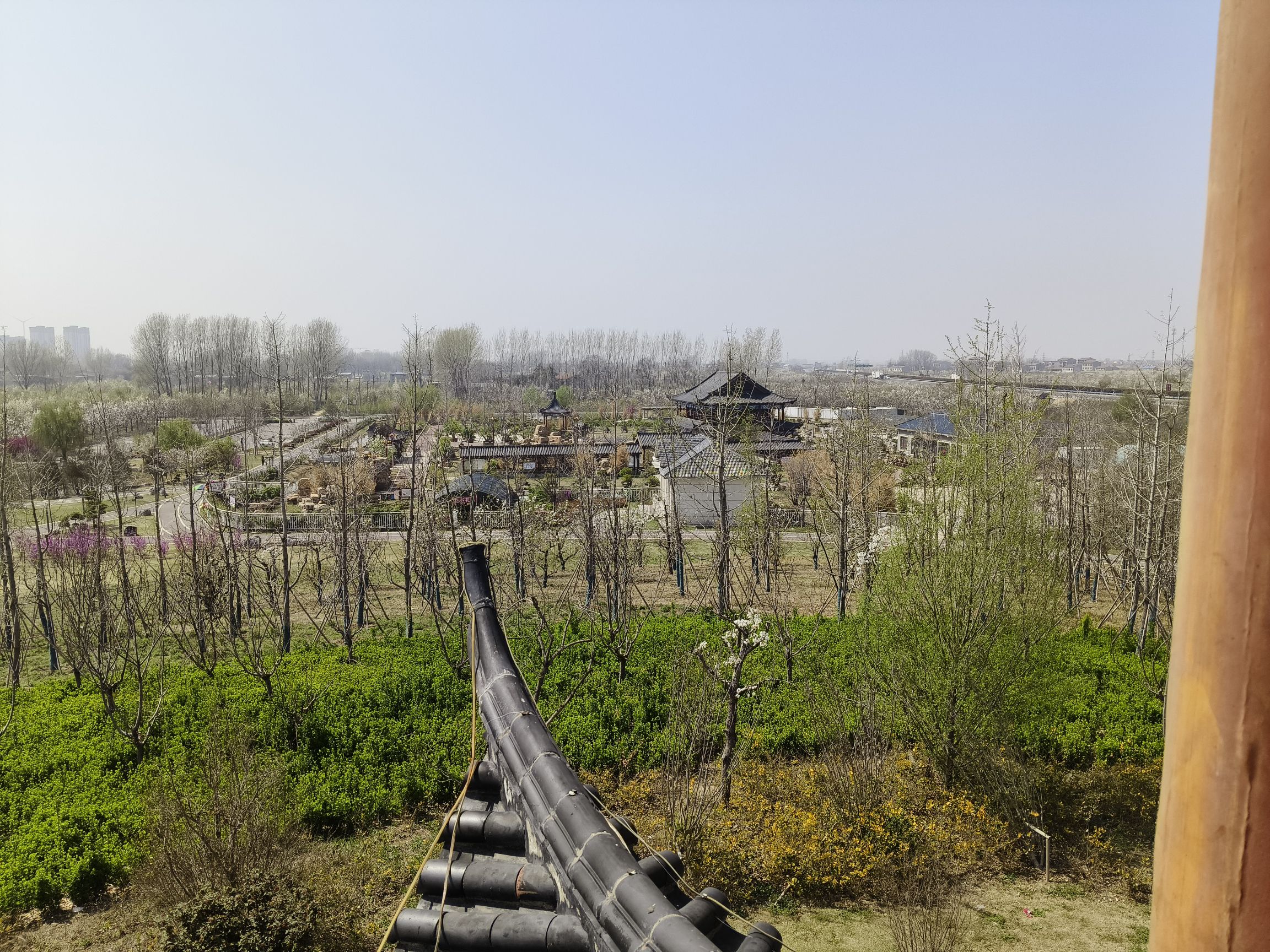 迎宾公园旅行图片 1