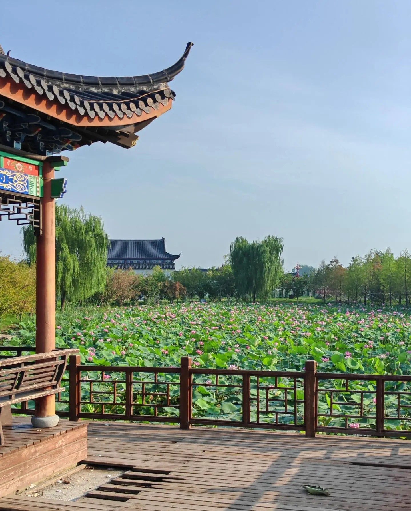 迎宾公园旅行图片 1