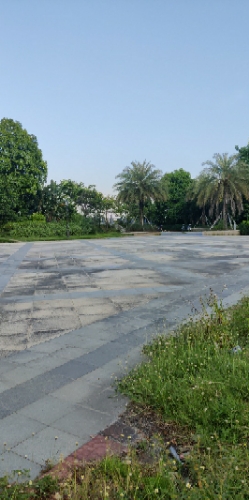 恒大滨江公园旅行图片 2