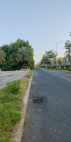 恒大滨江公园旅行图片 3