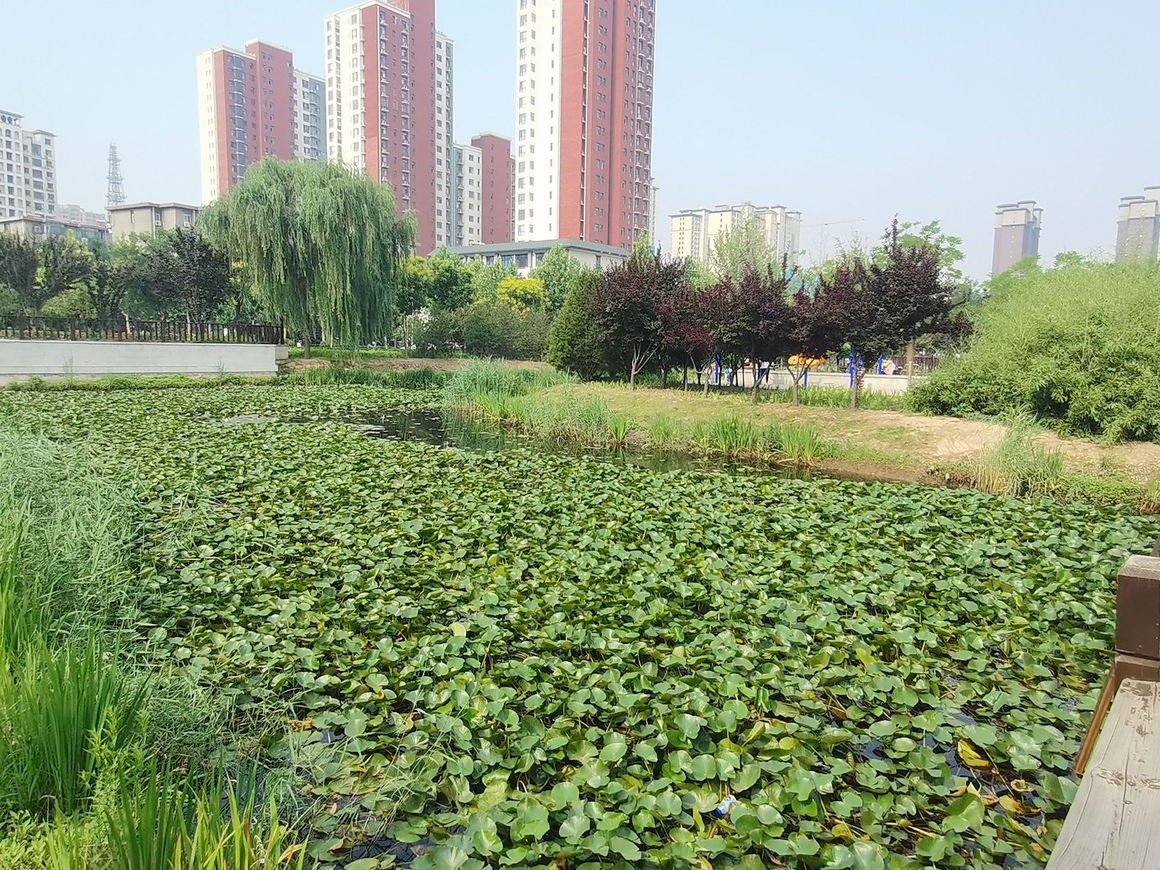 平安湖安全文化公园旅行图片 2