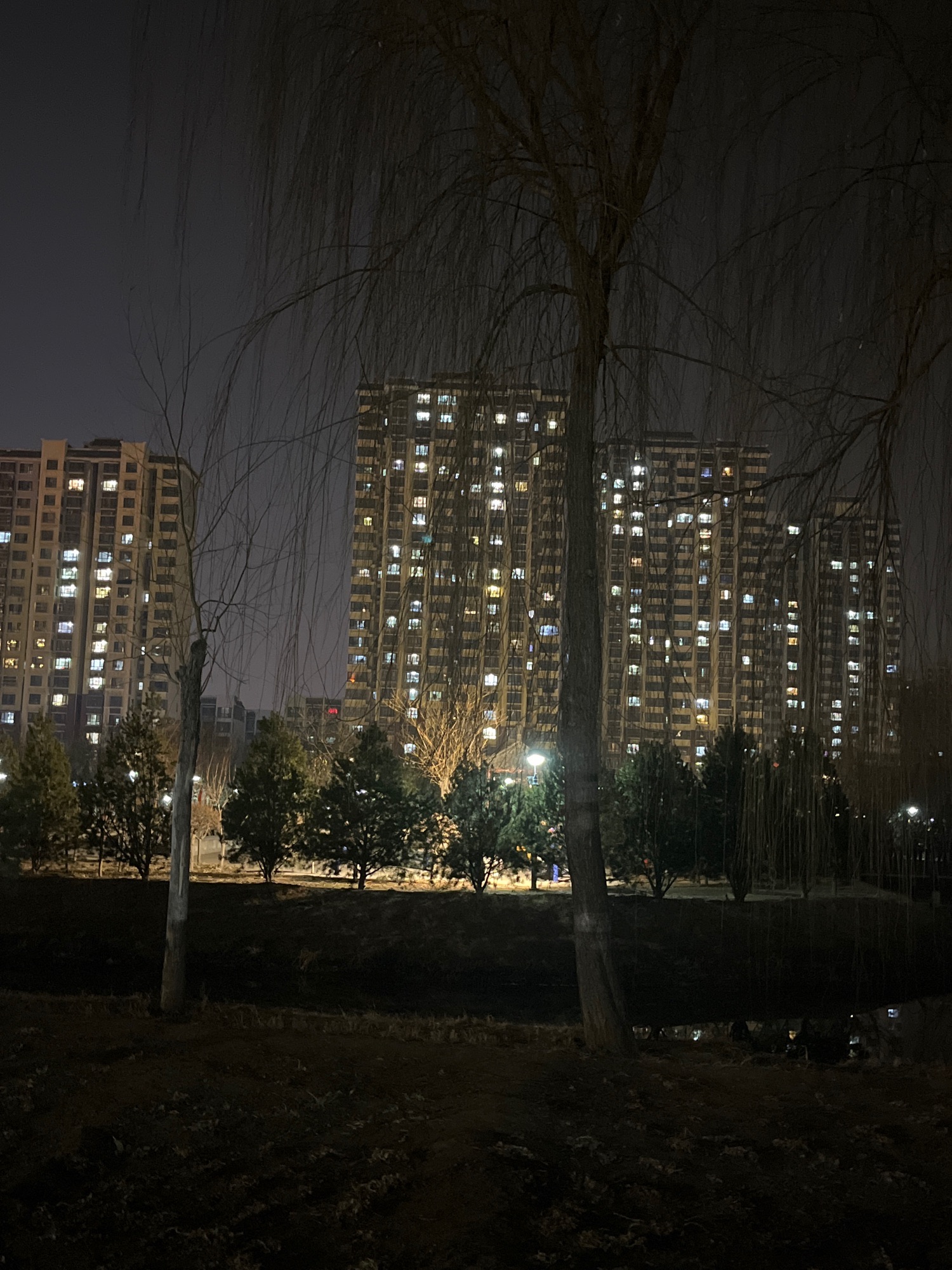 平安湖安全文化公园旅行图片 3