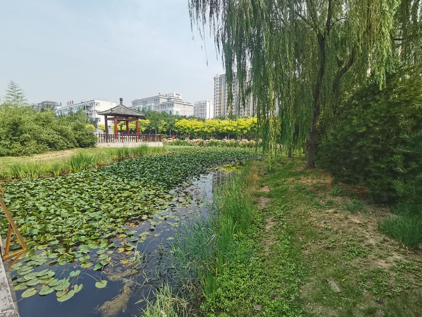 平安湖安全文化公园旅行图片 3