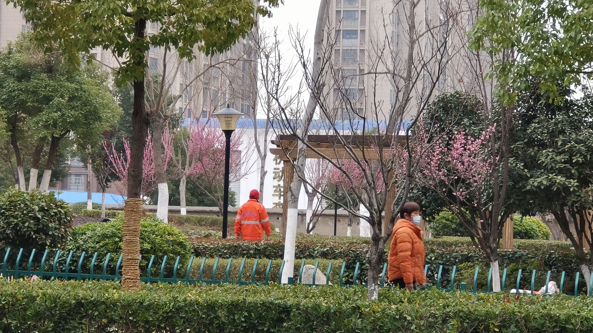 虎山路公园旅行图片 2