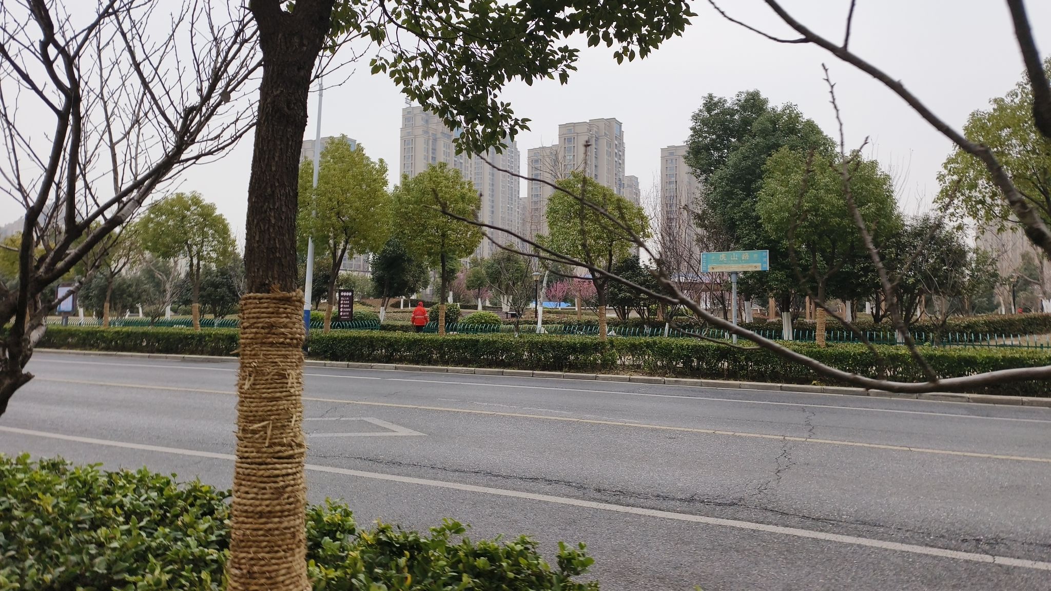 虎山路公园旅行图片 1