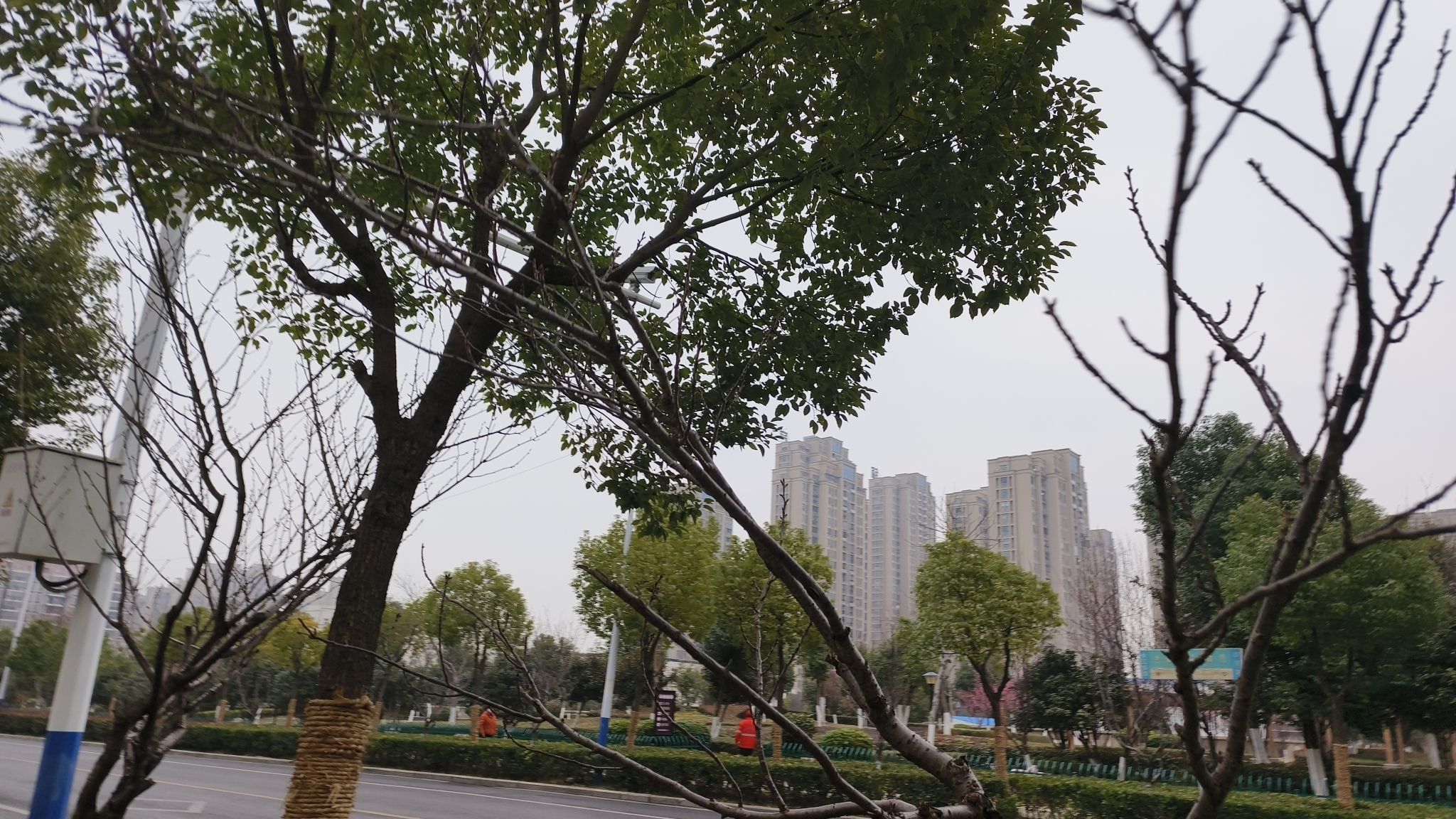 虎山路公园旅行图片 3
