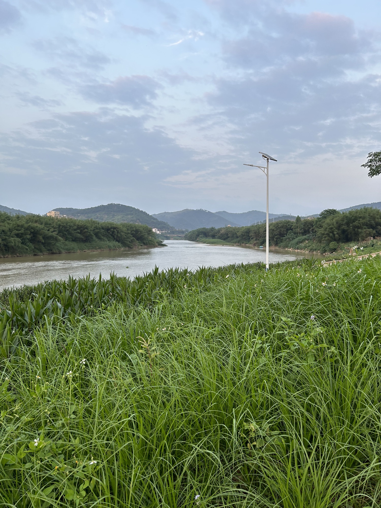 连滩河堤公园旅行图片 2