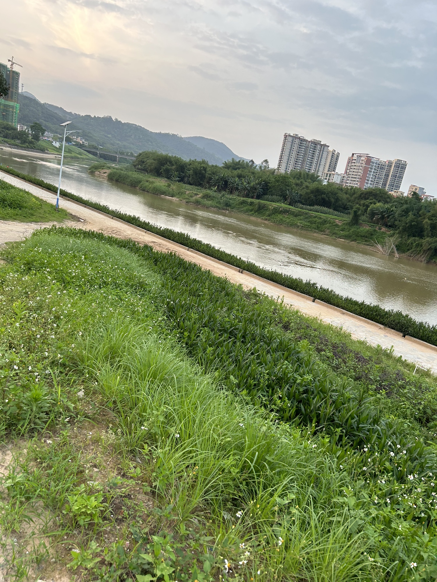 连滩河堤公园旅行图片 1