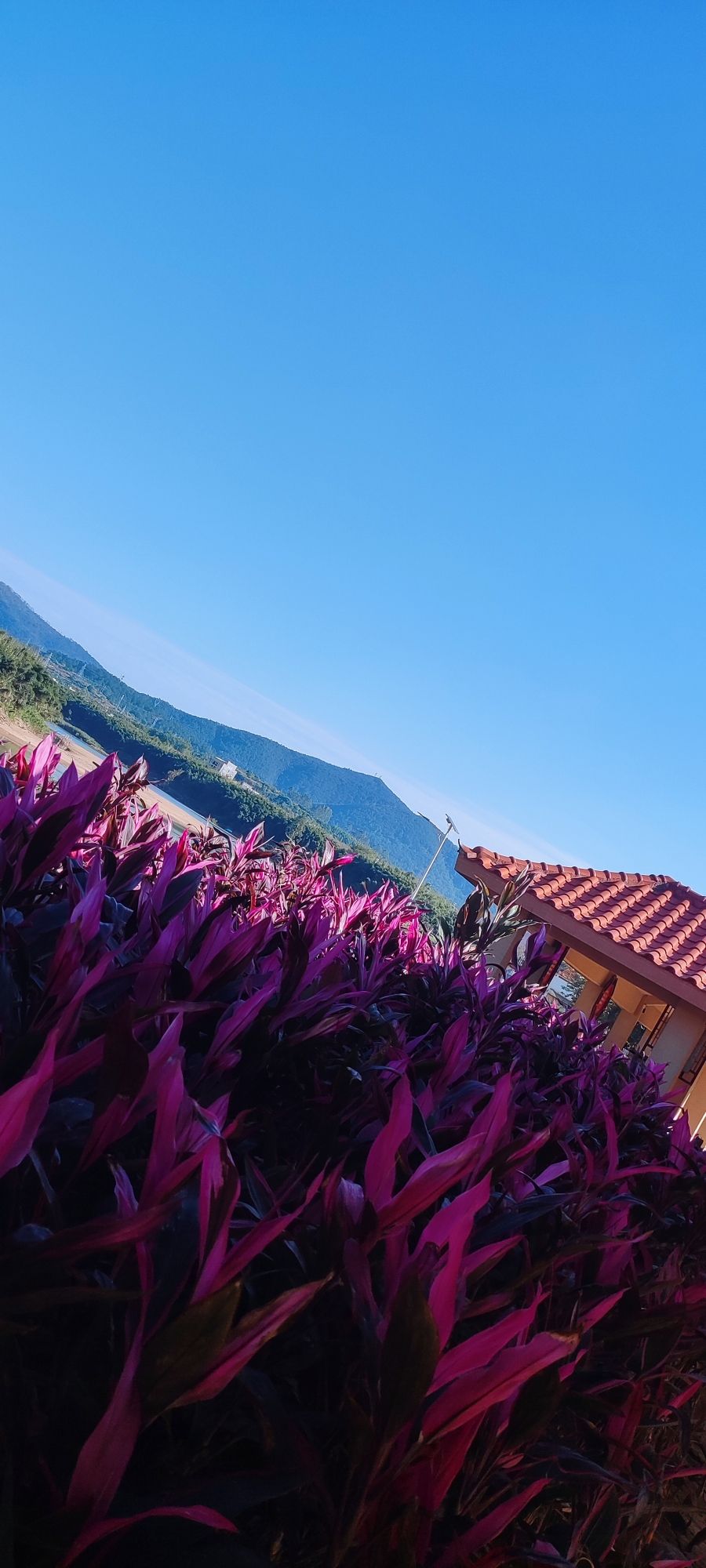 连滩河堤公园旅行图片 3