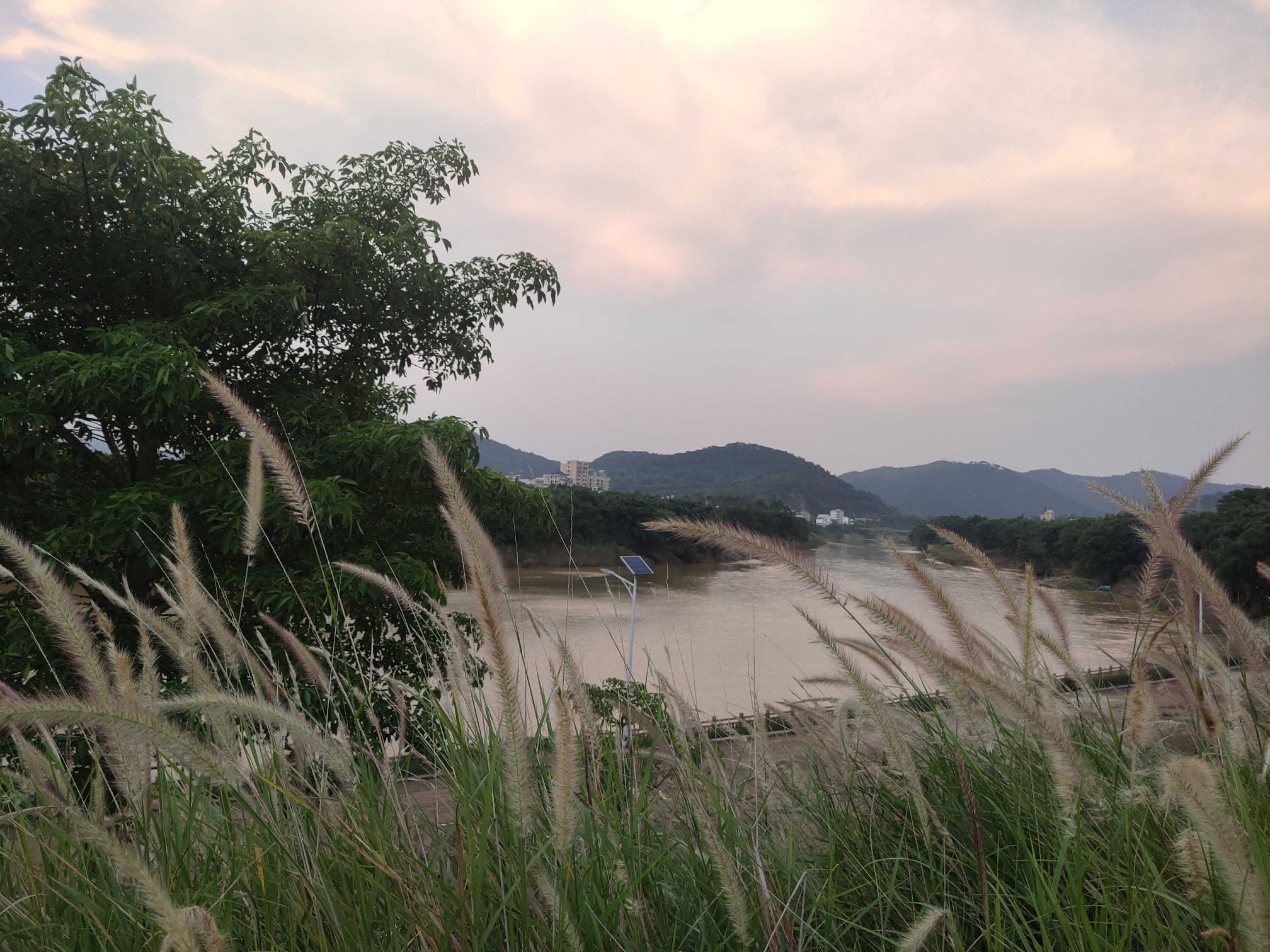连滩河堤公园旅行图片 3