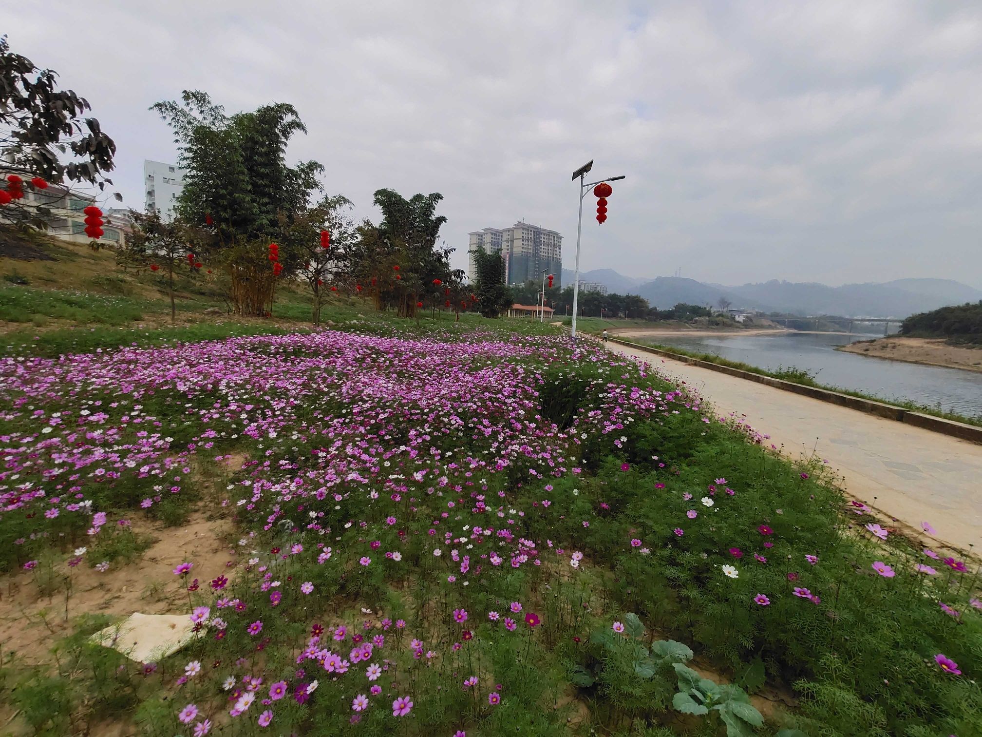 连滩河堤公园旅行图片 1